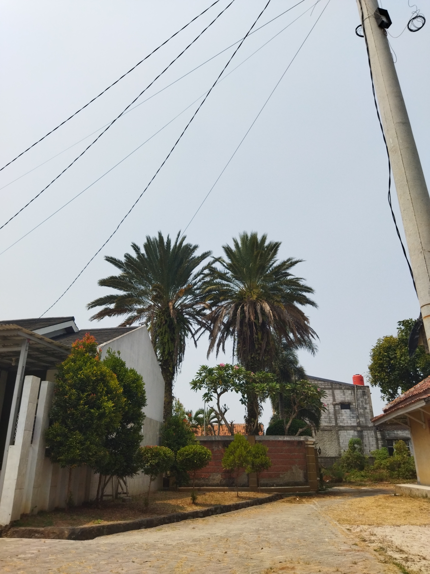 The image depicts a street scene in Suka Sari, Indonesia, dominated by overhead electrical wires against a pale sky. In the foreground, a paved walkway leads towards a property lined with various trees and lush green bushes. Two tall palm trees stand prominently, one showing signs of browning fronds. Behind the vegetation, a white building with a tiled roof is visible, partially obscured by the palm trees. Further back, a larger, unfinished concrete block building stands, topped with a bright orange water tank. A utility pole, also supporting electrical wires, is situated on the right side of the frame. The overall impression is of a residential area on a clear, possibly warm, day.