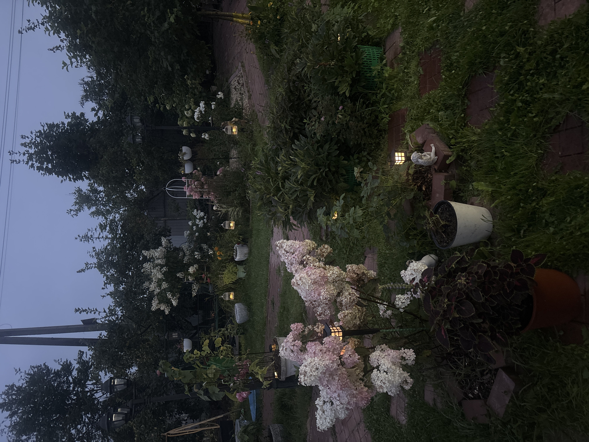 The image depicts a twilight scene in a garden at Лотос Снт (марьино), Russia. The garden is decorated with multiple decorative lanterns, some resembling birdcages with internal lights, and others are modern solar-powered stake lights. A substantial cluster of pink and white hydrangeas dominates the foreground, with smaller green plants and a dark-leaved plant in a reddish-brown pot situated to its left. Various potted plants, including one with white flowers in a white pot, are scattered throughout the garden. A brick pathway winds through the grass. In the background, a tall lamppost with two lights stands amongst dense foliage. The sky is a muted blue, indicating dusk. There are no people visible in the scene.