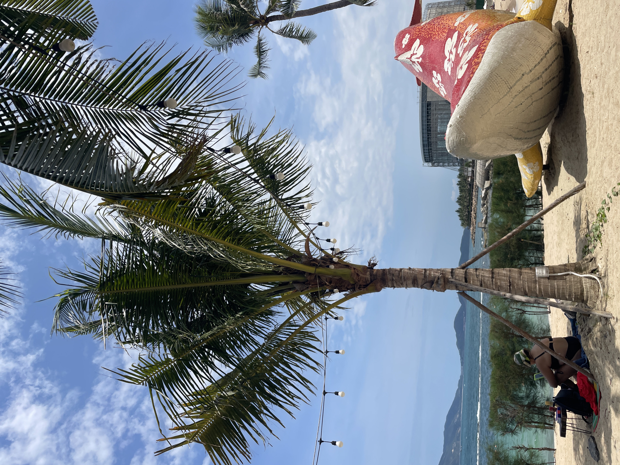 The image depicts a coastal scene, likely a beach, in Bac Nha Trang Ward, Vietnam. A prominent feature is a large, mosaic-covered sculpture of a turtle with a floral design on its shell. Palm trees are visible, some decorated with string lights. In the background, there's a body of water, possibly the sea, and a building under construction. In the foreground, a person is seated on the sand.