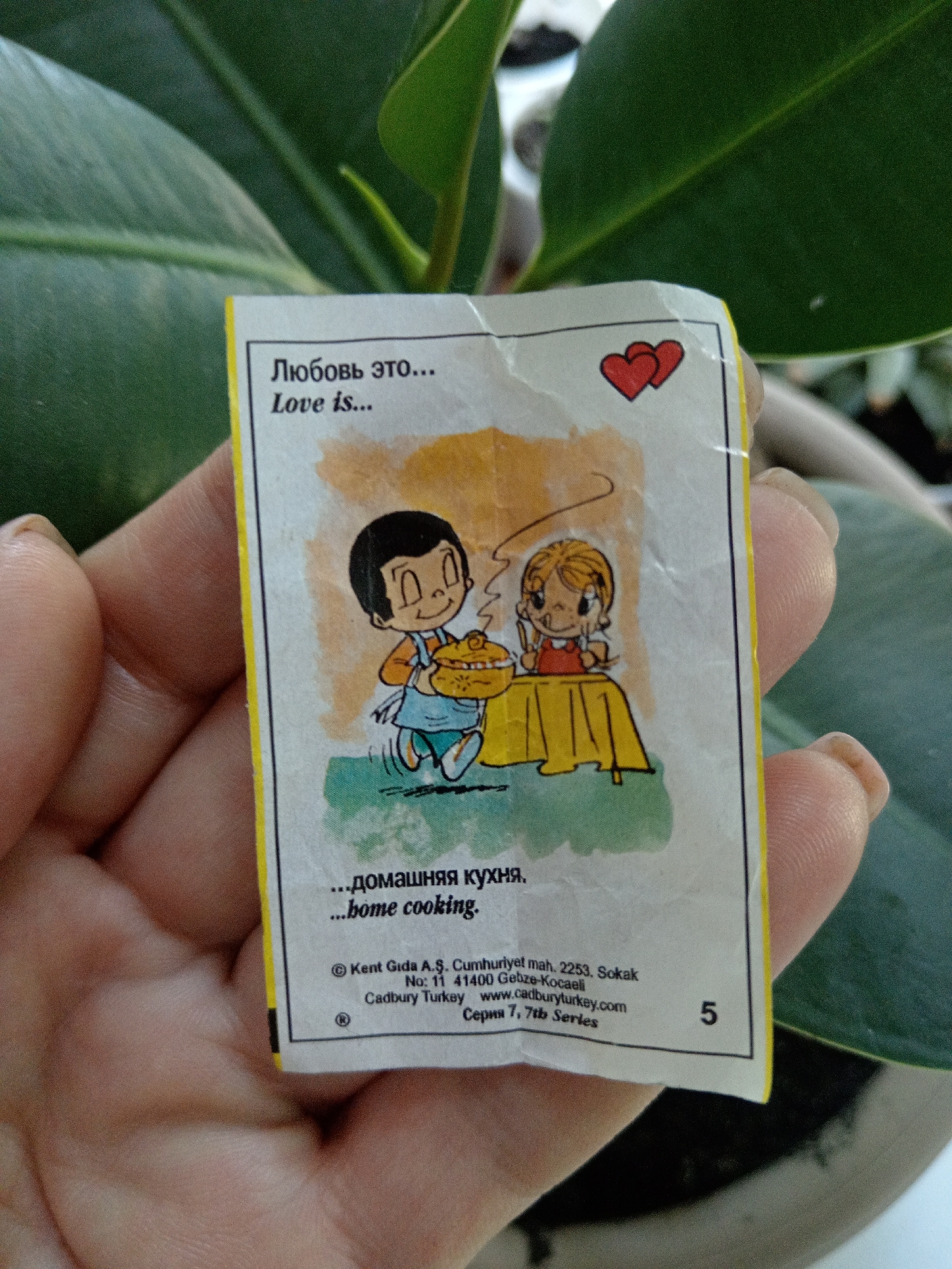A close-up, overhead shot captures a hand holding a "Love is..." comic strip wrapper. The wrapper features a cartoon of a boy presenting a hamburger to a girl at a table. Above the illustration, Russian text reads "Любовь это..." and English text reads "Love is...". Below the illustration, Russian text reads "...домашняя кухня." and English text reads "...home cooking.". At the bottom of the wrapper, there is legal information, including the company name "Kent Gıda A.Ş.", an address in Turkey, and a website address. The number "5" is visible in the bottom right corner. The wrapper is slightly creased and worn. The background is dominated by the dark green leaves of a potted plant. The scene does not contain any identifiable elements that would allow for determination of its location in Belogorsk, Russia.