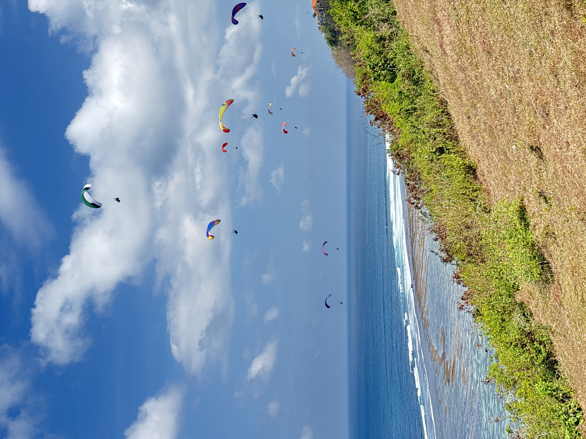 This image depicts a paragliding event near the cliffs of the Melasti Beach area in Kuta Selatan, Indonesia. The sky is a vibrant blue, dotted with fluffy white clouds. Multiple paragliders, each with colorful canopies, are visible in the air. They appear to be actively paragliding, with individual pilots suspended beneath their parachutes. The ocean stretches out to the horizon, its surface a deep blue with white waves breaking near the shore. The shoreline features a reef or shallow seabed, visible through the clear water. In the foreground, a grassy, dry hillside slopes downwards towards the ocean. Green vegetation is scattered across the hillside, becoming denser as it approaches the cliff edge. A few buildings are visible on the distant clifftop. The scene captures a recreational activity against a scenic coastal backdrop.