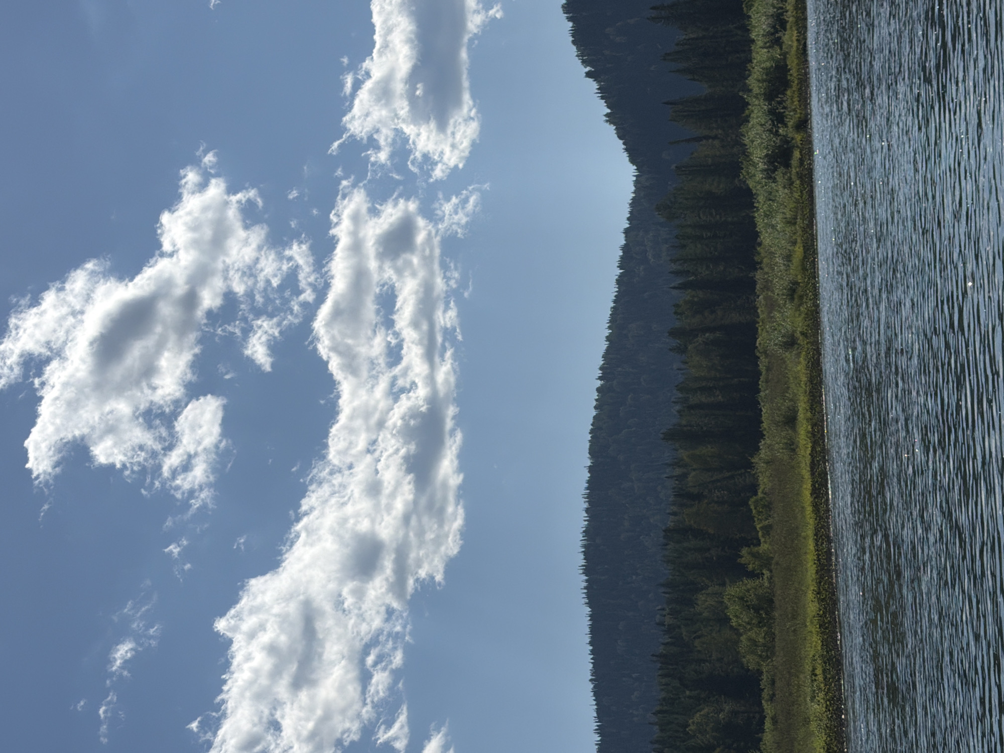 The image depicts a serene natural landscape under a bright, cloudy sky. In the foreground, a body of calm, dark blue water reflects the sunlight, creating a shimmering effect on its surface. The water stretches across the lower portion of the frame. Beyond the water, a dense line of lush green vegetation forms the shoreline, with taller trees and shrubs creating a textured barrier. In the background, a dark, tree-covered mountain range rises, its silhouette sharp against the pale blue sky. The sky is a vivid blue, populated by scattered, fluffy white clouds that cast soft shadows. The overall scene suggests a peaceful, undisturbed natural environment, likely in a rural or wilderness setting.