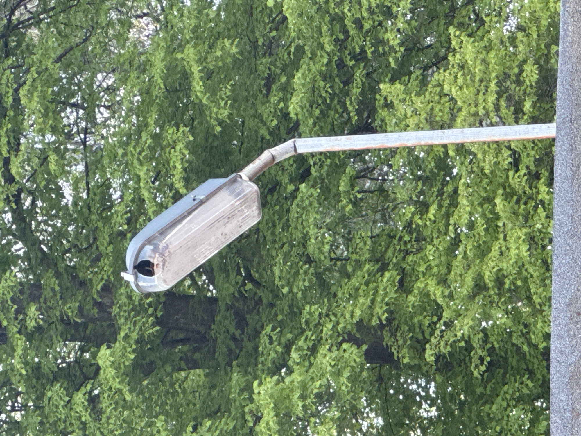 A street lamp is angled to the left. It has a horizontal arm that is slightly bent. The lamp head is rectangular with a hole. The light is positioned against a background of dense green foliage. To the right of the image is a portion of a concrete or stone pole. The location is Cherven Bryag, Bulgaria.