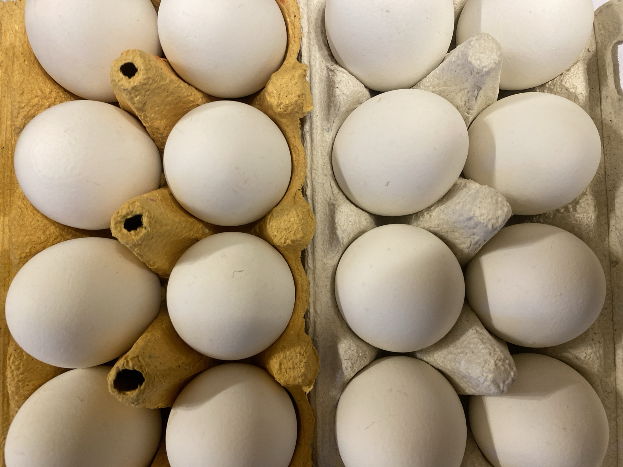 The image shows two cardboard egg cartons filled with white eggs. One carton is tan, and the other is gray. The eggs are arranged neatly within the compartments of the cartons. The scene is generic and lacks any context that would place it in Moscow, Russia. No people, actions, or interactions are visible.