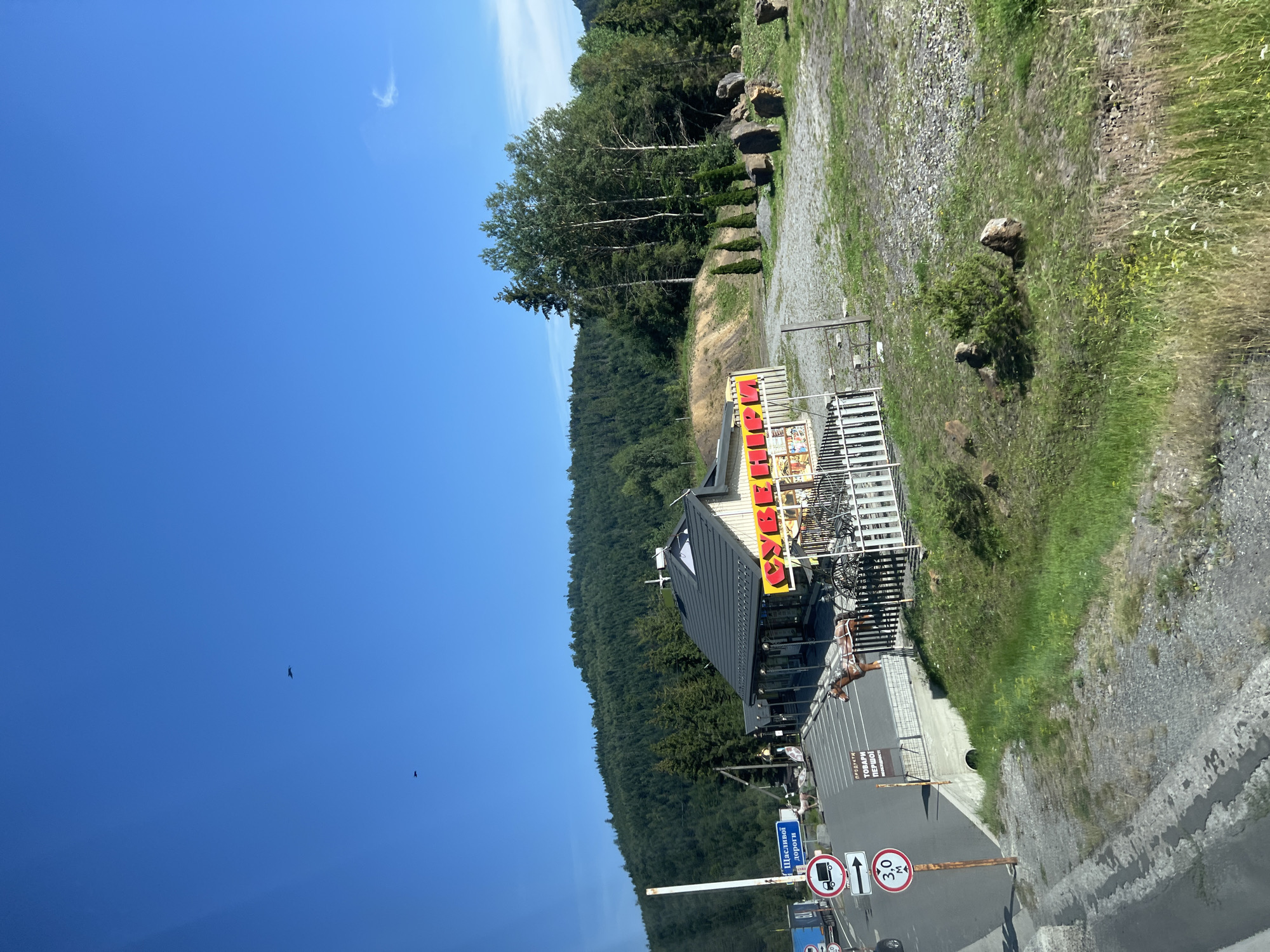 A bright, sunny day with a clear blue sky illuminates a rural scene in Latorka, Ukraine. In the foreground, a paved road curves past a grassy embankment. A signpost stands to the left, displaying traffic signs including a truck symbol and a directional arrow. Below these, a circular red and white sign indicates a height restriction of 3.0 meters.
Adjacent to the road is a parking lot. A building with a dark roof and beige walls is situated at the edge of the parking lot. It features a prominent yellow sign with red lettering that reads "СУВЕНІР" (Souvenir). In front of the building, decorative elements include model horses pulling carts and a white fence.
The background is dominated by a lush, green, tree-covered hillside. The trees are a mix of deciduous and coniferous varieties, with a dense forest extending up the slope. Several tall, slender birch trees stand out in a cluster to the right of the building, interspersed with darker green conifers. Scattered rocks of various sizes are visible on the grounds and amongst the trees. Two birds are captured in flight against the vast expanse of the blue sky, and a wispy cloud is visible near the top right corner. The scene suggests a roadside stop in a mountainous or hilly region.