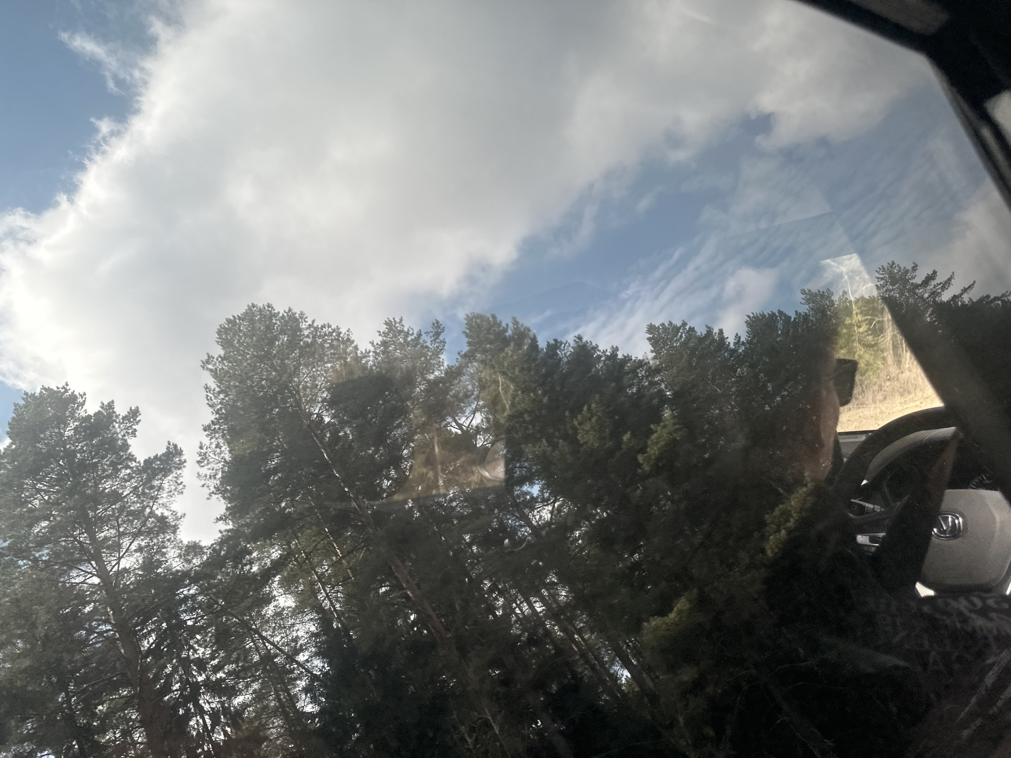 The image, taken from inside a vehicle, shows a view through the windshield of a forest and sky. The trees are primarily coniferous, with tall, thin trunks reaching upwards. The sky is partially obscured by white, puffy clouds, revealing patches of blue. The reflection of the car's interior is visible on the windshield, including parts of the dashboard, steering wheel, and the driver's face. There are no specific landmarks or details to identify the location definitively as Zabegalovo, Russia. The environment is rural, suggested by the forest. There is no indication of the city of Zabegalovo.