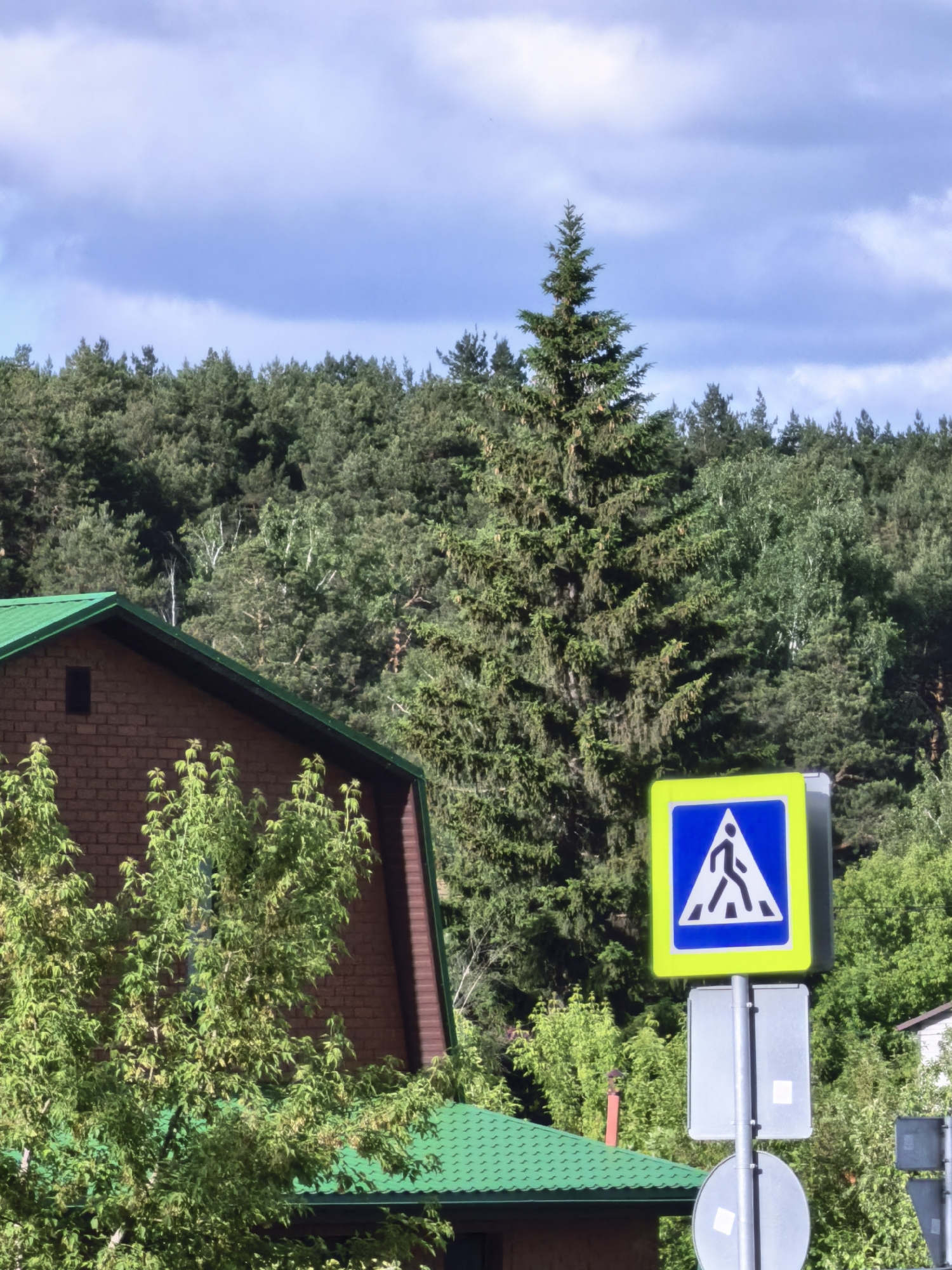 The image shows a pedestrian crossing sign in an area with dense tree cover and a brick building with a green roof. The sign is rectangular, with a blue background, a white triangle, and a black figure indicating a pedestrian crossing. Behind the sign, there is a tall pine tree, and in the background, a lush forest can be seen. The brick building is partially obscured by green trees. The sky is visible in the upper part of the image, featuring a combination of blue sky and scattered clouds. The city is Unknown, Unknown.