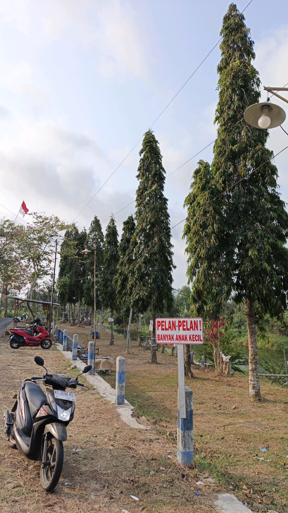 The image depicts an outdoor scene in Tanggulwelahan, Indonesia, characterized by dry, patchy grass and several tall, slender evergreen trees. A red scooter is parked on the left side of a paved path, and a black scooter is in the foreground, also on the path. A white sign with red text is mounted on a post in the middle right of the image, reading "PELAN-PELAN! BANYAK ANAK KECIL," which translates to "SLOWLY! MANY SMALL CHILDREN." In the background, a body of water is visible, and a single lamp post with a light bulb is positioned between the trees. A small Indonesian flag is flying on a pole to the left of the trees. The sky is mostly clear with some scattered clouds. The overall impression is of a semi-rural or park-like setting.
