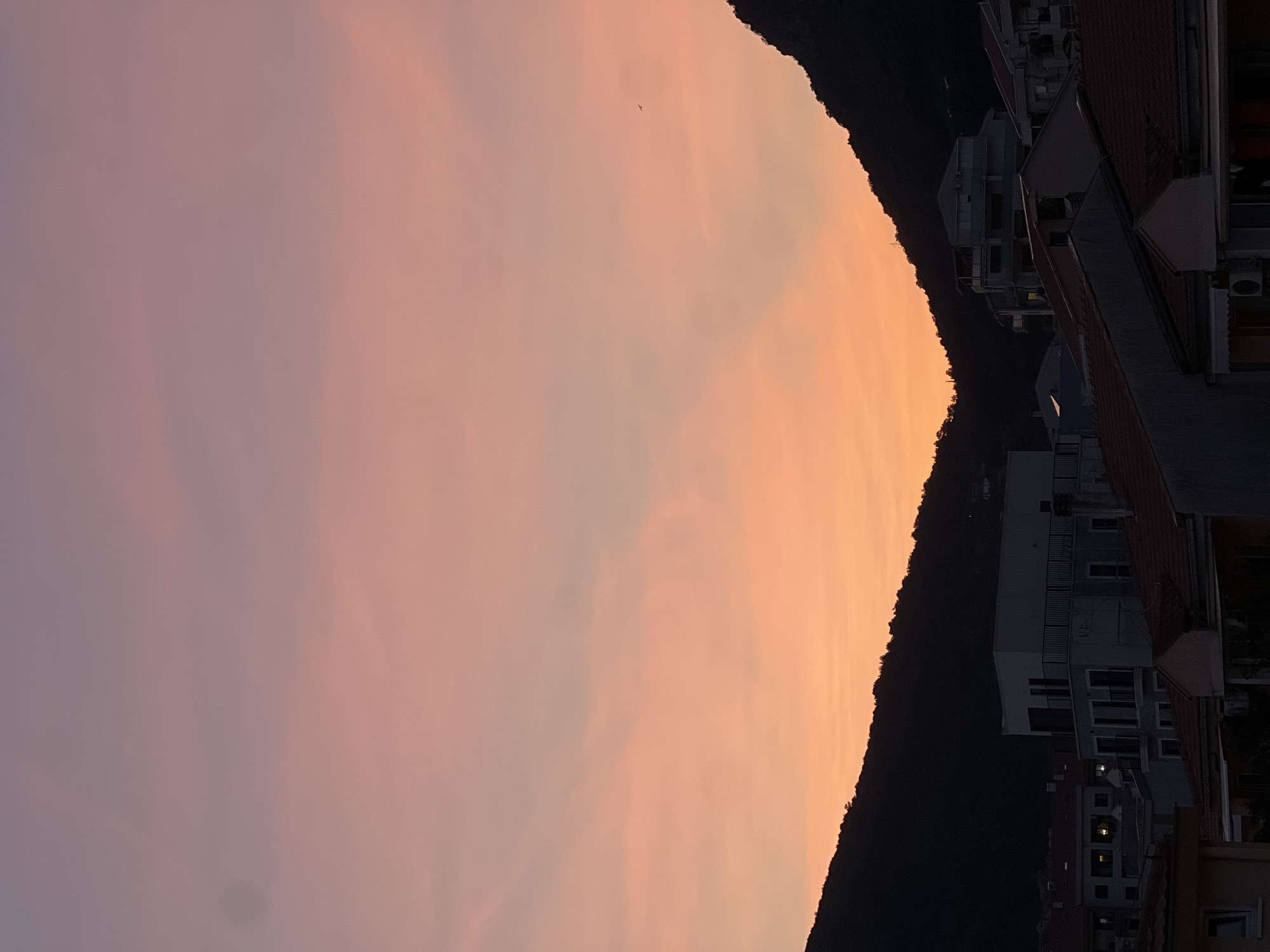 The image shows a dusk scene in Budva, Montenegro. The sky exhibits a gradient of colors, from a soft peach at the horizon to a light purple higher up. A silhouette of a mountain range runs along the horizon, separating the sky from a residential area. The buildings are mostly white and grey, with some having red rooftops. Windows are visible in the buildings. A bird is flying in the sky. The image is taken from a slightly elevated position. The photograph is rotated 90 degrees clockwise.