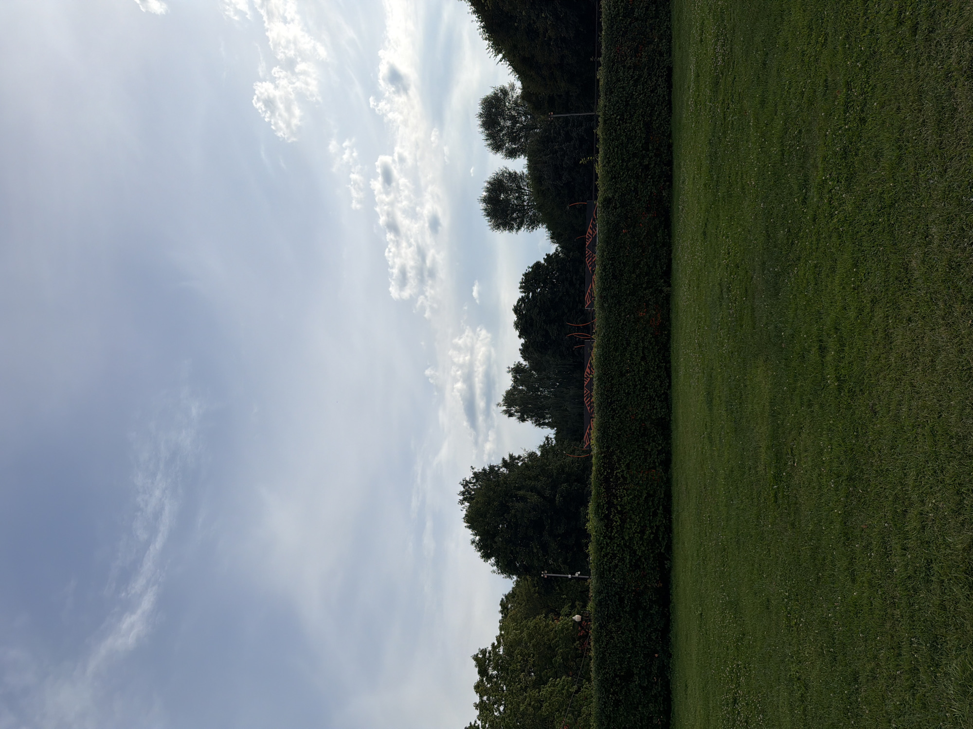 A wide, low-angle outdoor shot shows a neatly manicured lawn in the foreground. Behind the lawn, a dense, dark green hedge runs horizontally across the frame. Beyond the hedge, a line of trees of various heights and foliage colors creates a natural backdrop. The sky above is a pale blue, with scattered wispy white clouds and a brighter patch of sunlight towards the upper right. The scene appears to be a park or garden.