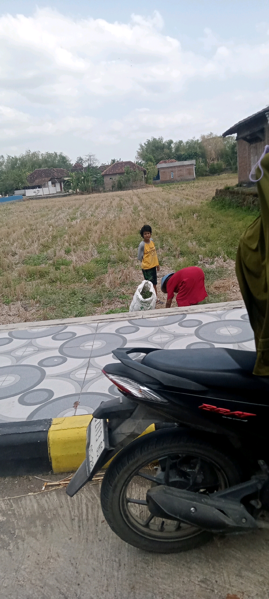Memory
