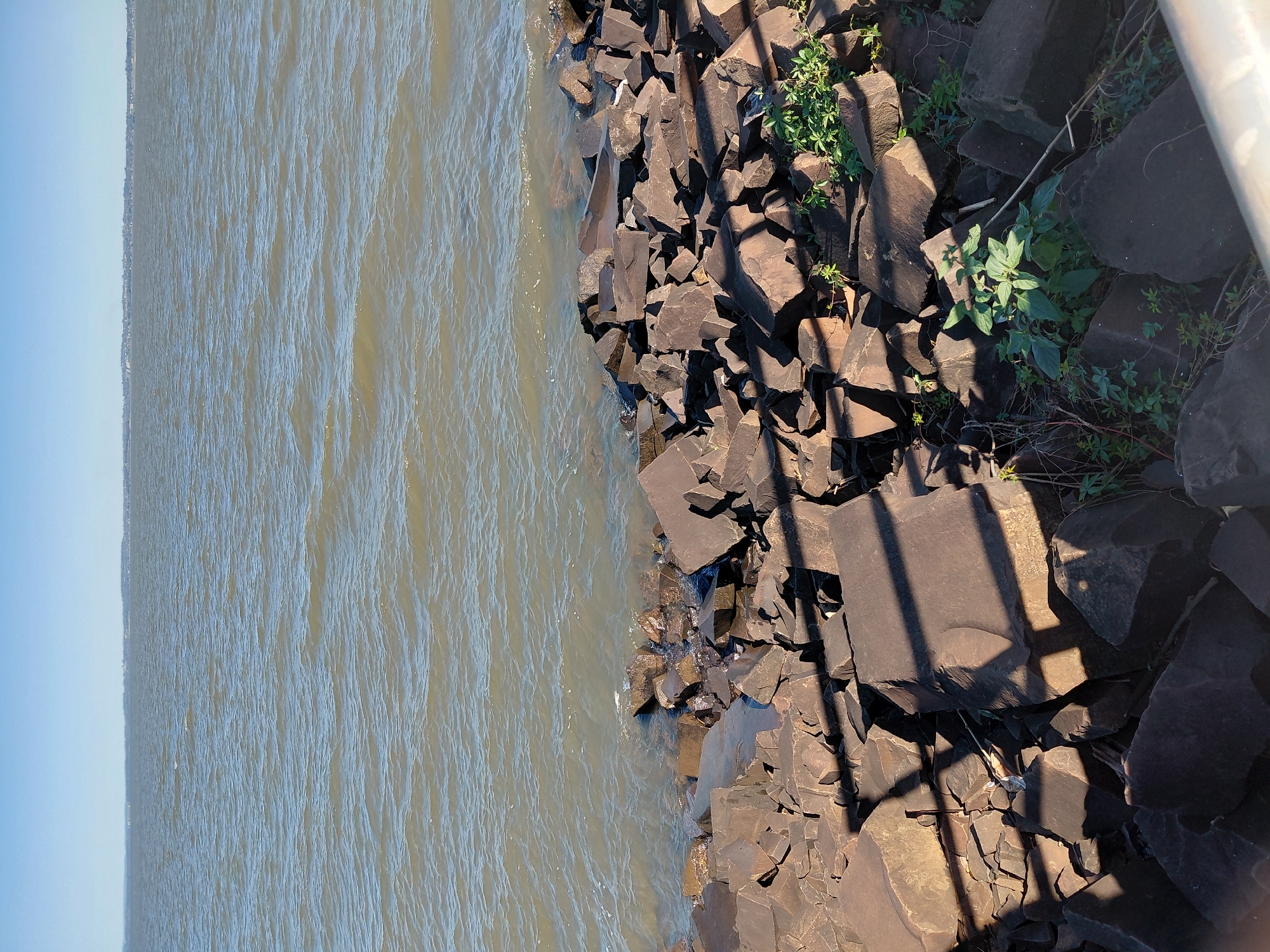 The image depicts a wide expanse of water under a clear blue sky. The foreground is a rocky shoreline composed of large, dark brown stones. Some of these stones are wet, indicating proximity to the water. Small green plants are growing in clusters among the rocks. Shadows from an unseen structure, possibly a fence or railing, are cast across the rocks in the lower portion of the image. The water stretches to the horizon where a distant, low-lying landmass with some buildings is visible. The overall scene is one of natural landscape meeting an urban or semi-urban edge. This location is the bay of Encarnacion, Paraguay, along the Parana River.
