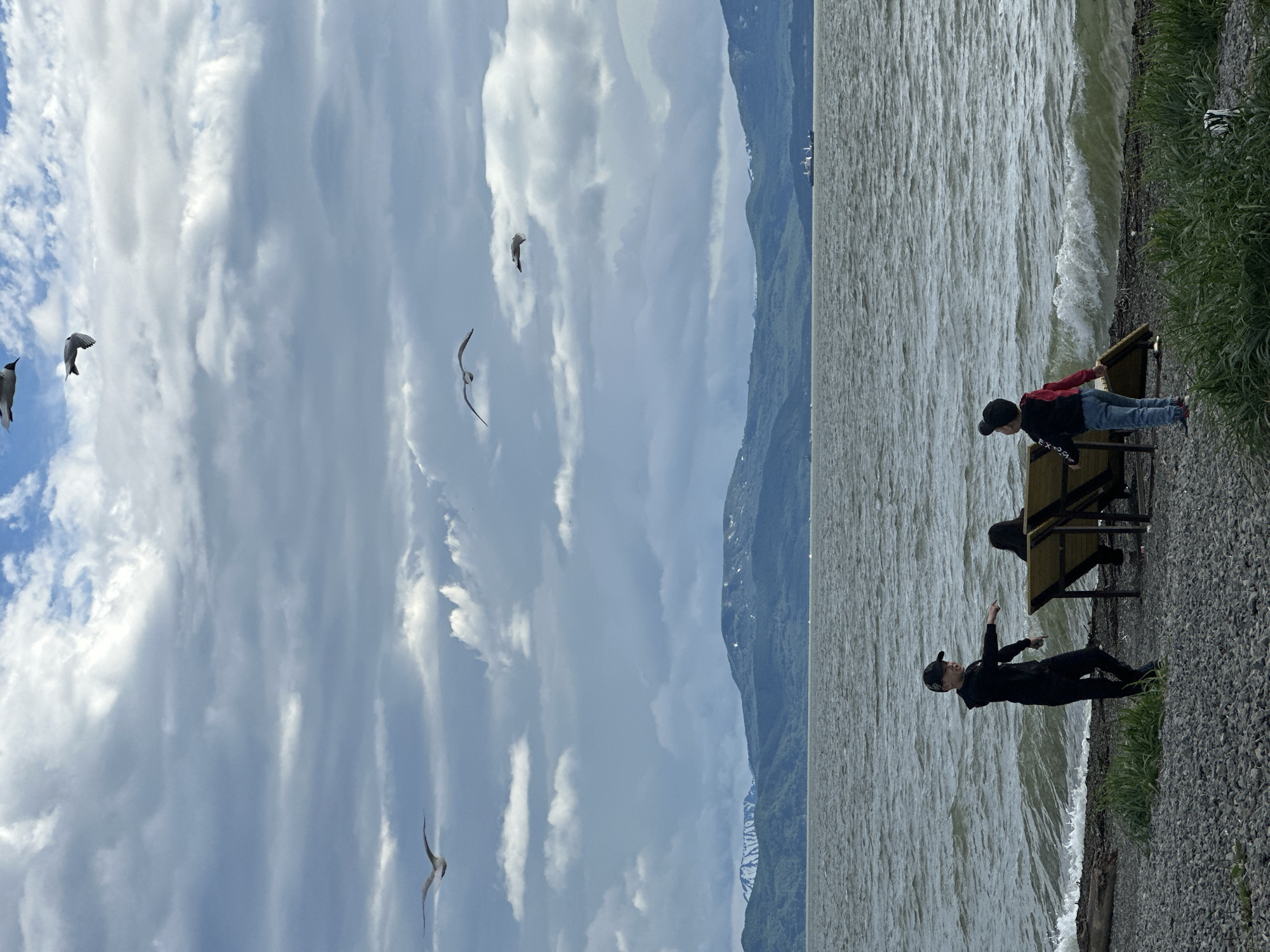 This image depicts a scenic view of a body of water, likely a bay or sea, with a mountainous coastline in the distance. The sky is filled with dramatic, cloudy formations, with several seagulls flying in the upper portion of the frame. In the foreground, on a rocky shore, two children are visible, along with what appears to be a picnic table or seating structure. One child, wearing a black hoodie and cap, is gesturing towards the water. The other child, wearing a red and black jacket and cap, is standing near the seating structure, looking towards the water. The water itself is choppy, with visible waves. A ship is visible in the distance on the water. The overall scene suggests an outdoor recreational area, possibly a park or waterfront, with a natural, rugged landscape. The image is likely taken in Petropavlovsk-Kamchatsky, Russia, given the mention of the city.