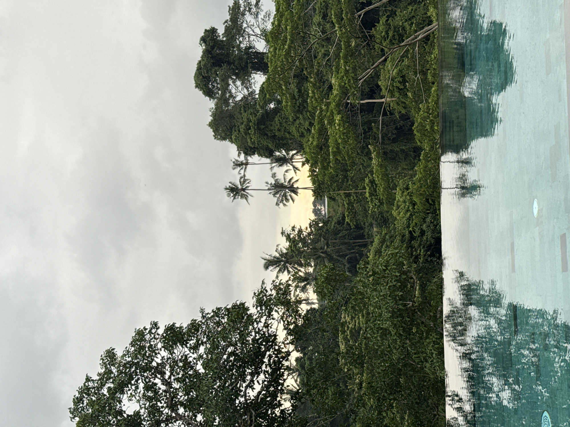 The image depicts a natural scene with a cloudy sky above dense tropical vegetation, likely located in the Ubud District of Indonesia. Several palm trees are visible amidst the other trees. The right edge of the image shows the side of a swimming pool, the water reflecting the surrounding greenery.