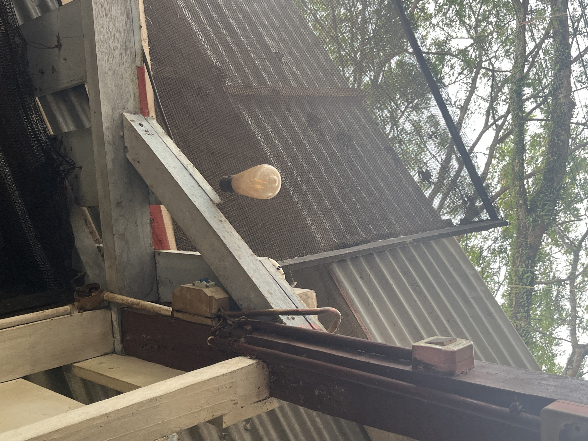 The image shows an underside view of a rustic structure, possibly a shelter or extension, with a lightbulb hanging from the ceiling. The structure is made of rough wooden beams and corrugated metal roofing. There are visible electrical conduits and a junction box on a vertical wooden beam. The scene appears to be outdoors, with tree branches and foliage visible in the background. The overall impression is one of a simple, utilitarian construction, potentially in a rural or semi-rural setting. No people or specific activities are depicted.