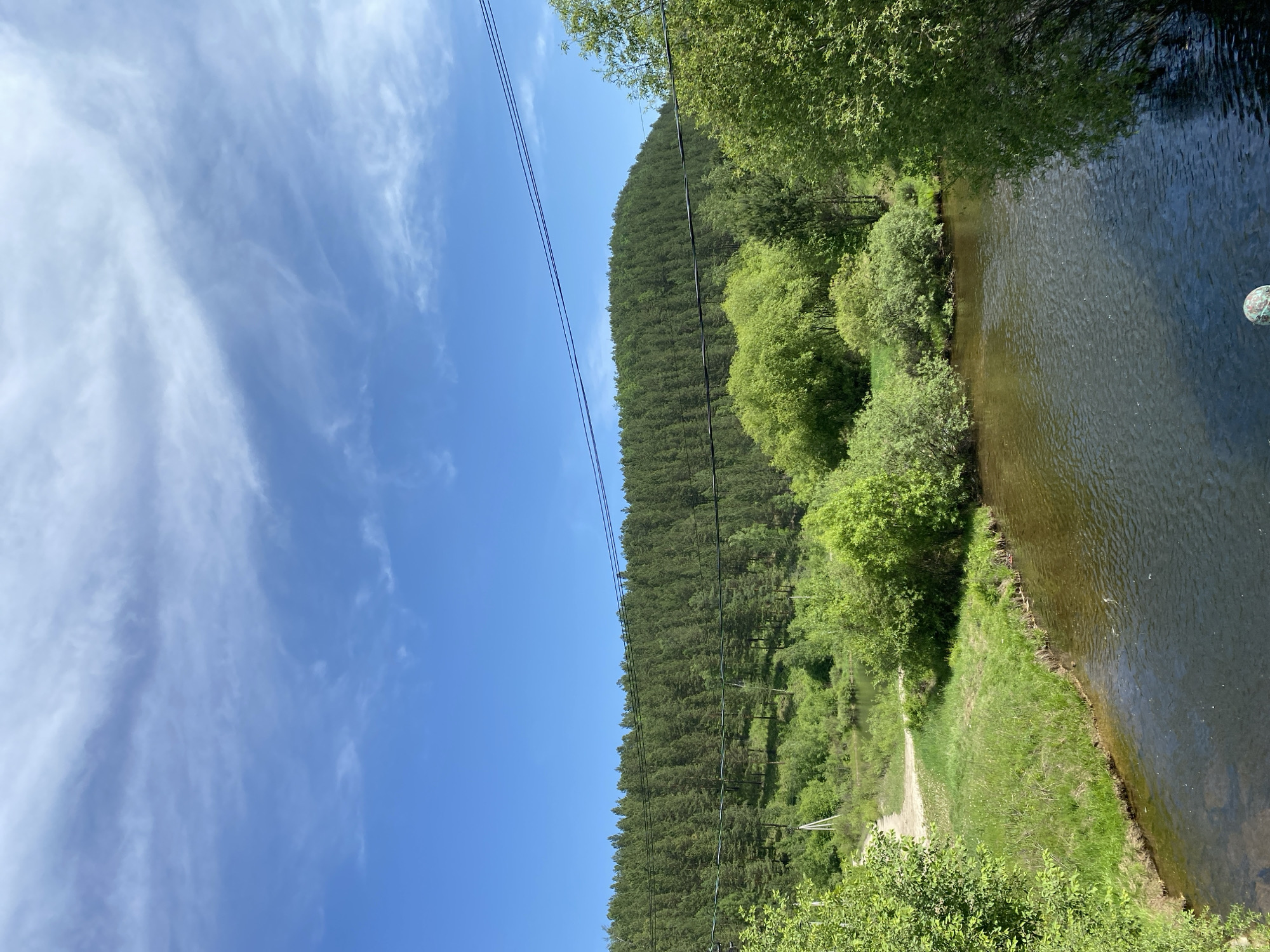 The image depicts a serene natural landscape with a river in the foreground. The water is dark and reflects the surrounding greenery. The riverbanks are covered in lush green grass and various types of trees and bushes. In the middle ground, there is a dirt road winding through the vegetation. Beyond this, a dense forest covers a hillside that slopes upwards. The sky above is a clear blue, dotted with wispy white clouds. Overhead, two dark power lines stretch across the frame. The scene appears to be a rural or natural setting, possibly in the city of Bolshoy Lug, Russia, given the context provided. There are no people or animals visible in the image. The overall impression is one of tranquility and untouched nature.