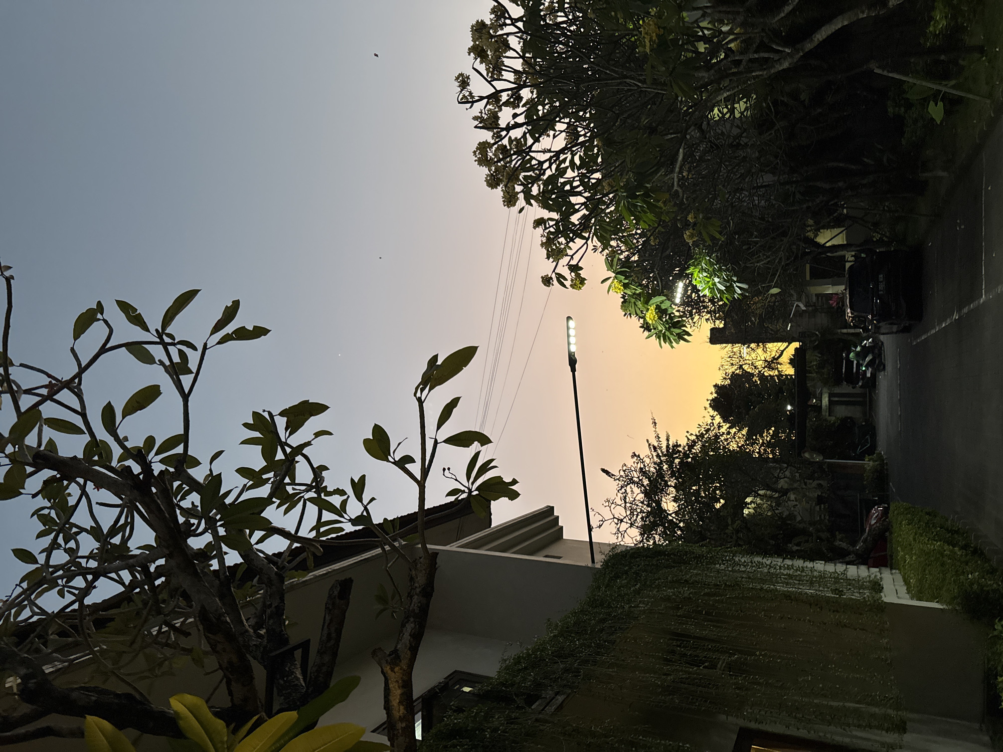 The image depicts a street scene at dusk in Denpasar, Indonesia. On the left, a white building is partially visible, covered in hanging green vines. A large tree branch with leaves extends from the upper left corner of the frame. A street lamp with multiple lights is positioned horizontally across the mid-section of the image.
The sky transitions from a pale blue at the top to a warm orange-yellow gradient towards the horizon. On the right side of the street, a dense area of trees and foliage is visible, with some of these trees illuminated by artificial lights, possibly from the street lamp.
In the background, the street leads towards an arched entryway, where more trees and some structures are silhouetted against the glowing sky. Several parked vehicles, including a dark SUV and a motorcycle, are visible on the street. A few small, distant objects that could be birds or kites are present in the sky. The overall atmosphere suggests a quiet evening in a residential or commercial area of Denpasar.