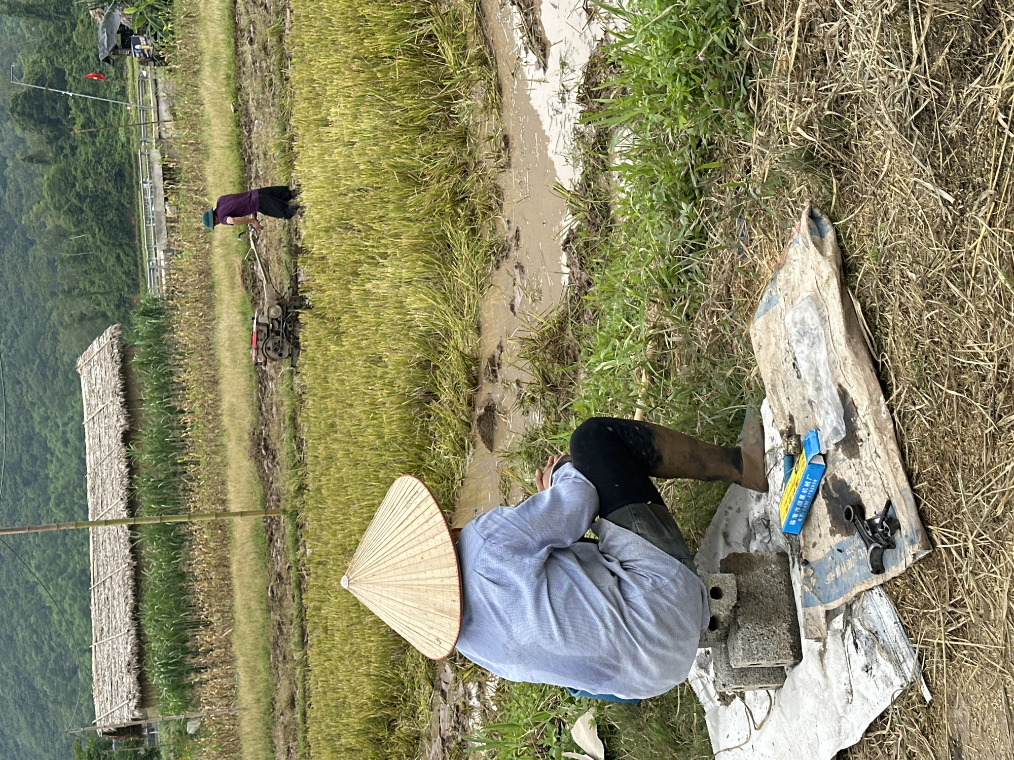 In Mai Chau, Vietnam, a farmer wearing a conical hat and a blue shirt squats on a cement block in the foreground of a rice paddy. The farmer is facing away from the camera and is wearing dark pants and brown boots. In the background, another person wearing a purple shirt and dark shorts operates a tiller in the muddy rice field. Behind the field, a traditional thatched-roof building stands, and a bridge spans a waterway. The landscape is characterized by lush green hills in the distance. Scattered on the ground in front of the farmer are a white tarp, pieces of broken cement, and a small blue and yellow box.