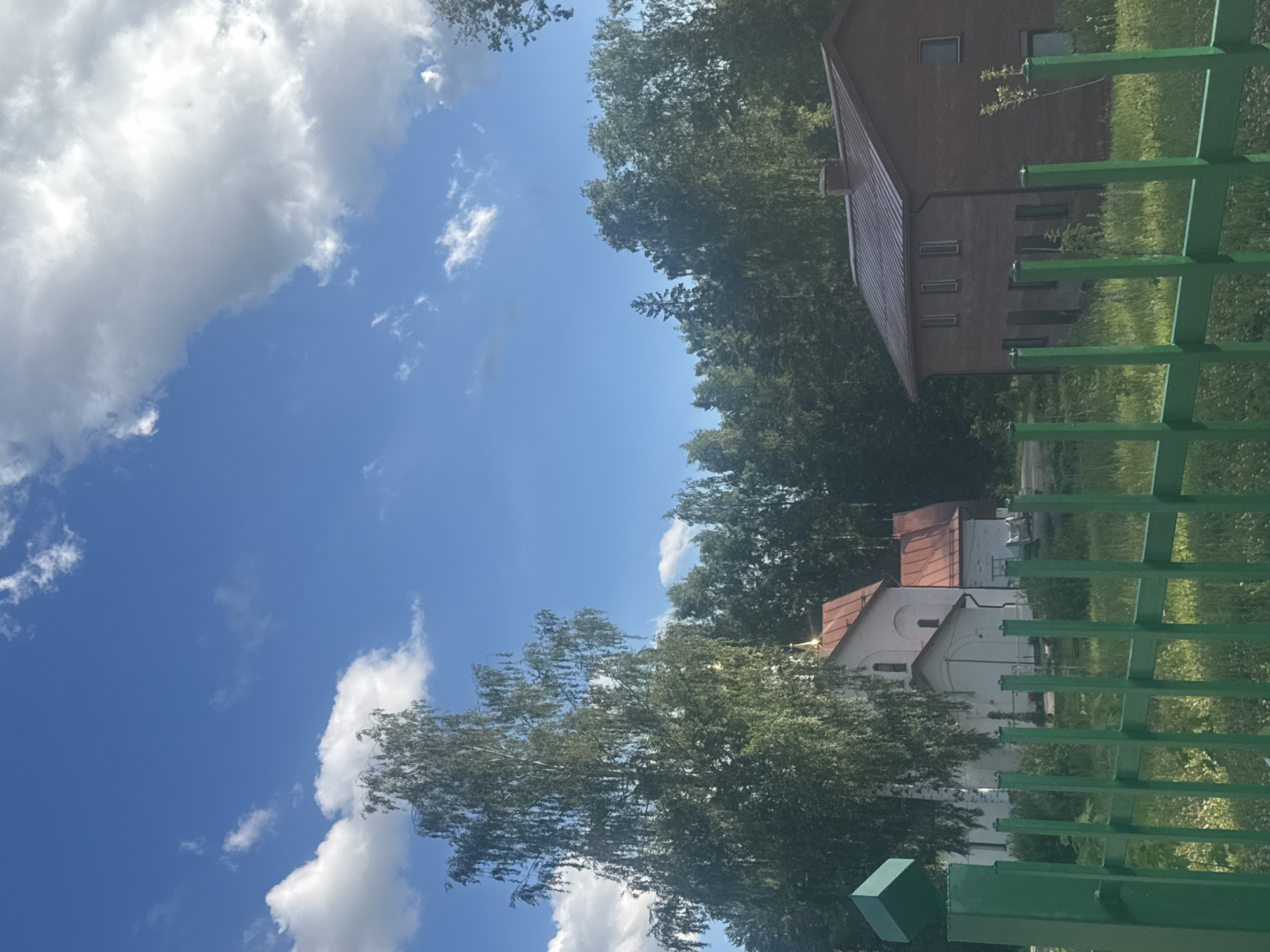 The image captures a view from behind a green metal fence in Noviy, Russia. To the left, a white building with a red roof, possibly a church, stands against a backdrop of lush green trees. A tall birch tree with delicate, drooping branches is prominently positioned in front of the building. To the right, a dark red brick building with a dark metal roof is visible. The sky above is a vibrant blue, dotted with fluffy white clouds. The foreground is filled with green grass, some of it appearing somewhat overgrown, with scattered white flowers.