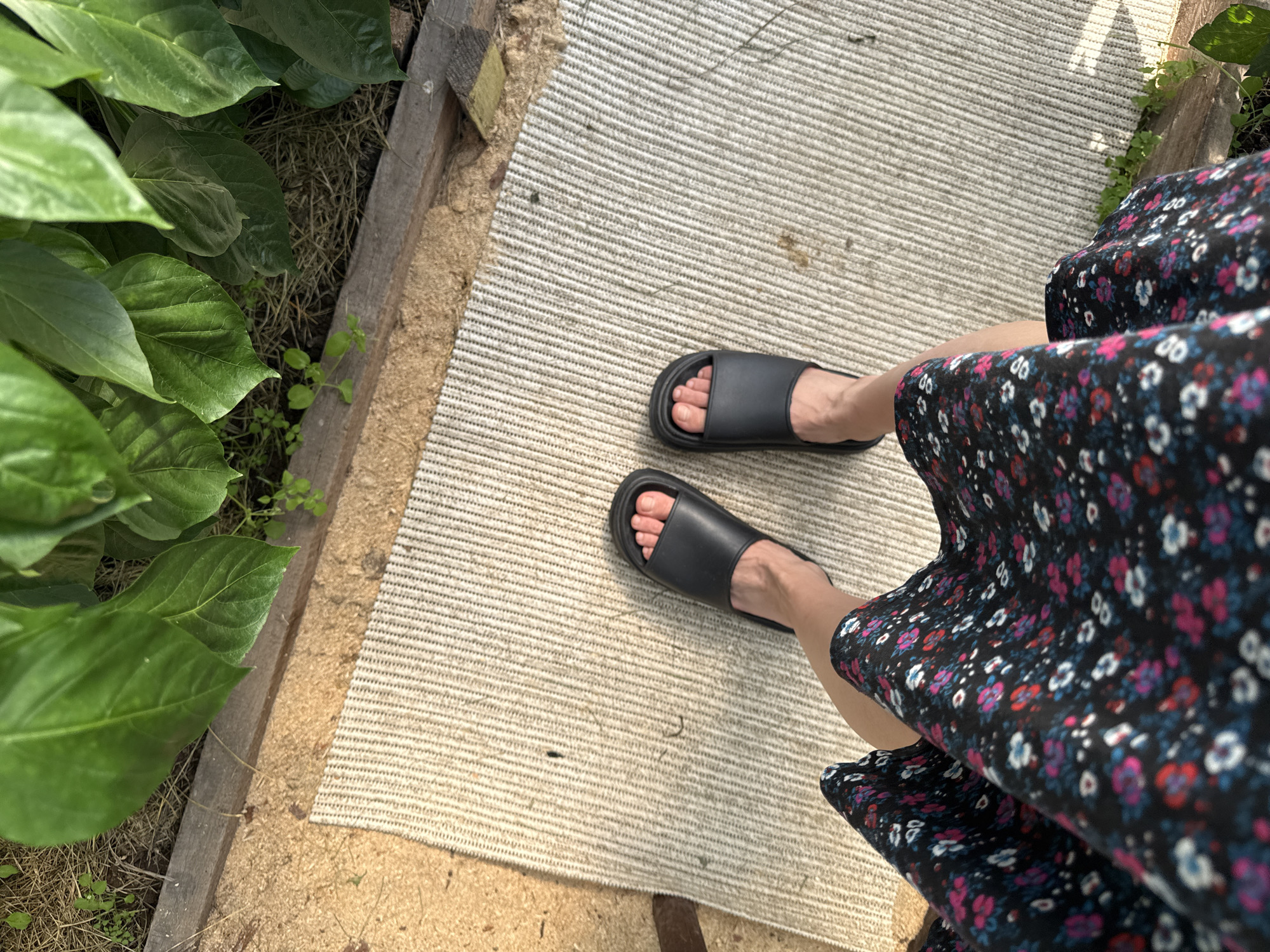 In an outdoor setting, likely within the city of Zasechnyi, Russia, a person is standing on a textured rug placed on a sandy surface. They are wearing black slide sandals and a dark floral-print dress. The rug is positioned next to a wooden border, beyond which lush green foliage is visible, suggesting a garden or natural area. The lighting indicates it is daytime. The perspective of the image is from above, looking down at the person's legs and feet.