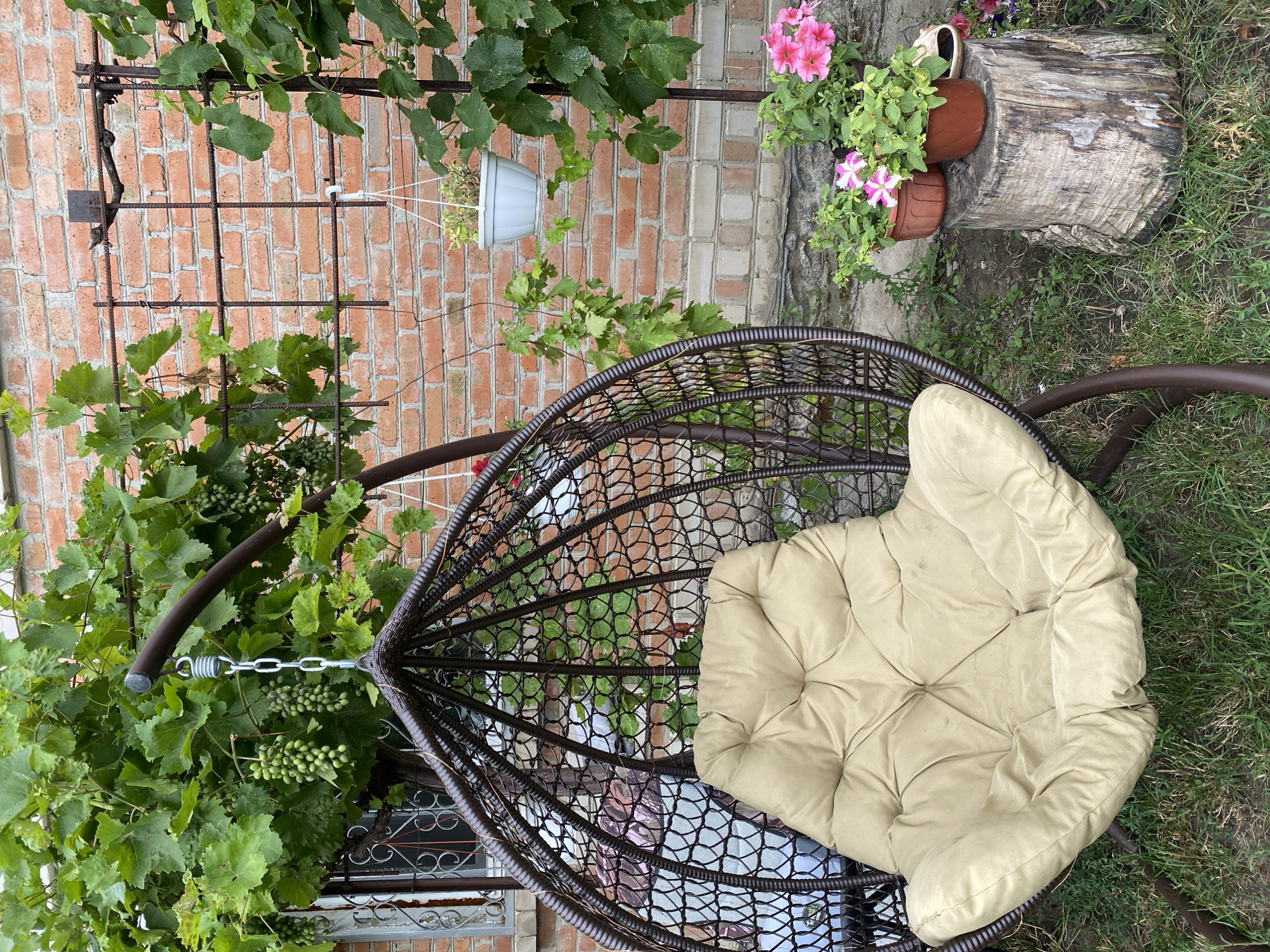 The image depicts an outdoor patio or garden area in Kropyvnytskyi, Ukraine. In the foreground, a dark brown, rattan-style hanging chair with a light beige cushion is positioned on a grassy ground. The chair is suspended by a metal chain and spring system from a dark brown frame. To the right of the chair, a weathered tree stump serves as a stand for two terracotta pots containing pink and white flowering plants. Behind the chair, a brick wall forms the background. A grapevine with clusters of green grapes grows along the wall and a metal trellis structure. A white hanging pot with a wilting plant is also visible against the brick wall. To the left of the hanging chair, a window with ornate metal bars is partially visible. The overall impression is of a peaceful, outdoor seating area with natural elements and brick architecture.