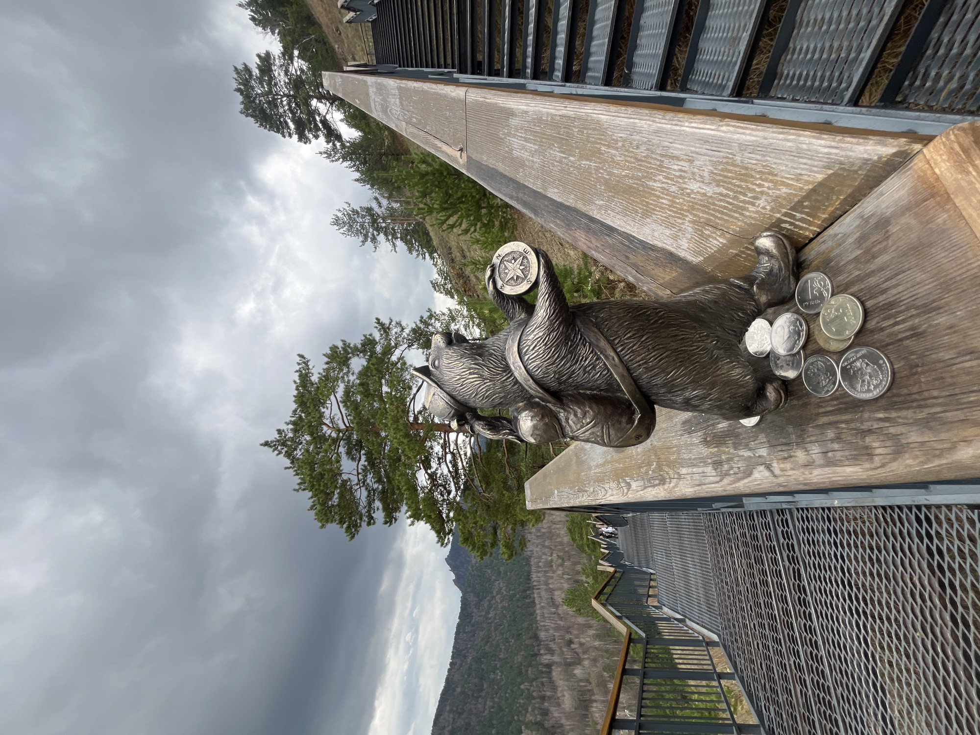 The image depicts a bronze statue of a bear holding a compass on a wooden railing of a metal staircase overlooking a landscape with trees, mountains, and a cloudy sky. Coins are placed on the railing near the bear's foot. The location is likely in Krasnoyarsk, Russia, based on the style of the statue and the landscape features. The staircase appears to be part of a viewing platform or scenic overlook.