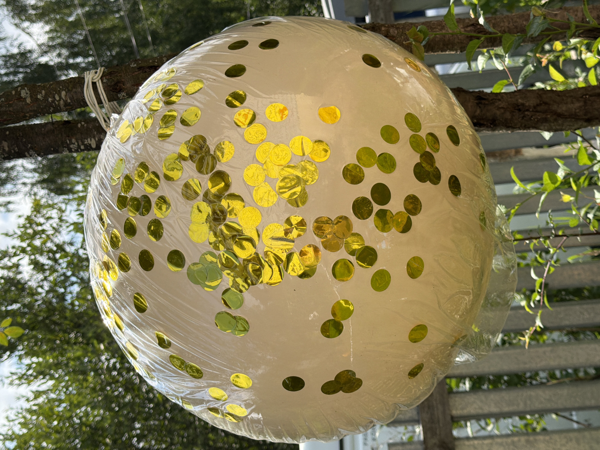 A large, round, white balloon filled with gold confetti is suspended outdoors by a white rope tied around two tree trunks. The balloon is partially covered by plastic wrap, which creates a slightly diffused effect on the confetti. The background consists of lush green foliage and a blurred fence, suggesting an outdoor setting. The overall lighting indicates a bright, sunny day. There are no people visible in the image. The scene is a close-up of the balloon and its immediate surroundings.