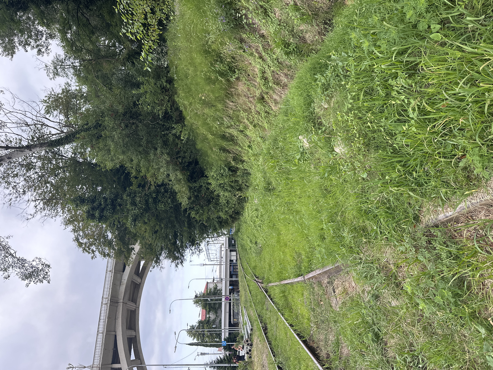 The image depicts an outdoor scene featuring overgrown railway tracks in the foreground, leading towards a station building in the middle ground. A large concrete bridge with arches spans across the upper left portion of the image, with the cloudy sky visible above. Lush green vegetation, including trees and tall grass, dominates the environment. In the middle ground, the station building appears modern with a white facade and a roof structure. Several streetlights are visible near the station. A few people are present near the station, and some pipes or construction materials are also stacked on the ground. The overall impression is one of a functional area adjacent to nature, possibly a train station or depot in Sochi, Russia, where the infrastructure is partially reclaimed by vegetation.