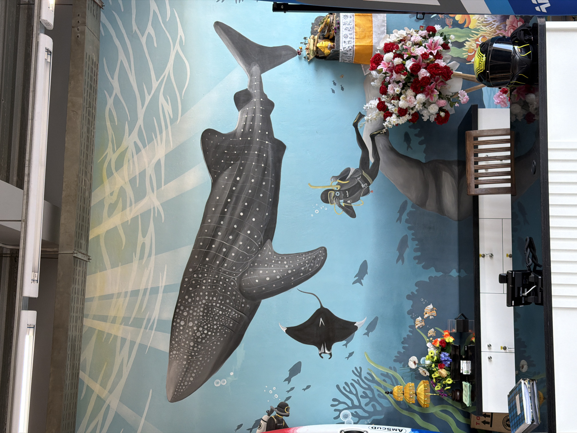 A photograph of a wall mural, shot indoors in Denpasar, Indonesia, depicts an underwater scene. A large whale shark dominates the left side of the mural, with a manta ray and two scuba divers below it. Coral formations and other marine life are also visible in the mural.
To the right of the mural is an open storefront. A bouquet of flowers is situated in front of a wall next to a black motorcycle helmet. Underneath this is a wooden slat structure on top of a set of lockers. A black camera and notebooks are placed on the right of the lockers.
