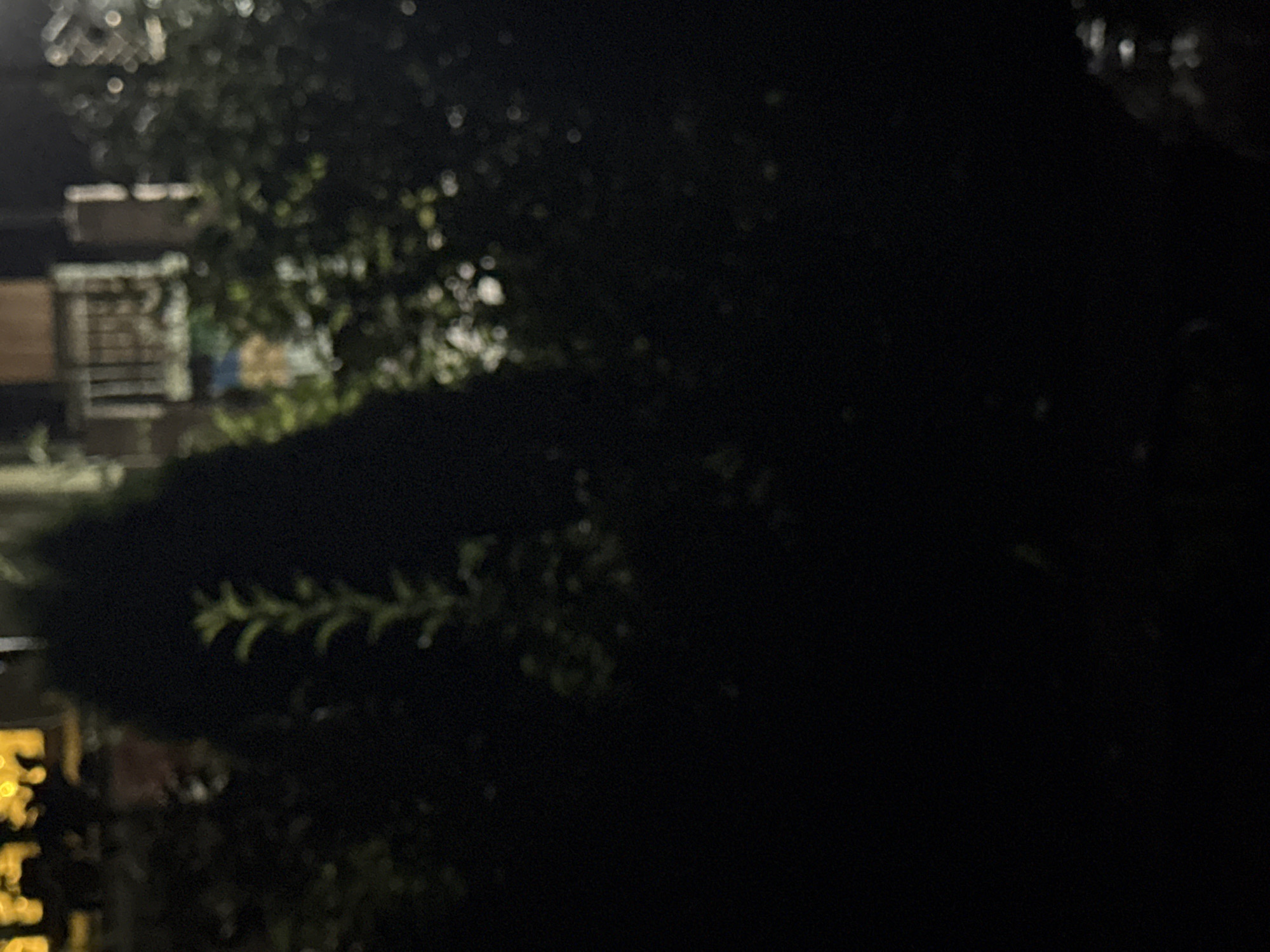The image depicts a dark outdoor scene at night, likely in Vostok, Kyrgyzstan, with out-of-focus elements suggesting foliage and structures. In the upper left, blurred yellow lights are visible, possibly from a building or streetlights. To the right of the lights, a dark, tall, conical shape, likely a tree or bush, dominates the central part of the frame. A slender, lighter green plant with small leaves grows vertically in front of this dark shape. Further to the right, a blurry structure with horizontal railings, possibly a balcony or fence, is faintly visible against a darker background. The overall ambiance is dim, with some scattered points of light indicating either distant illumination or reflections.