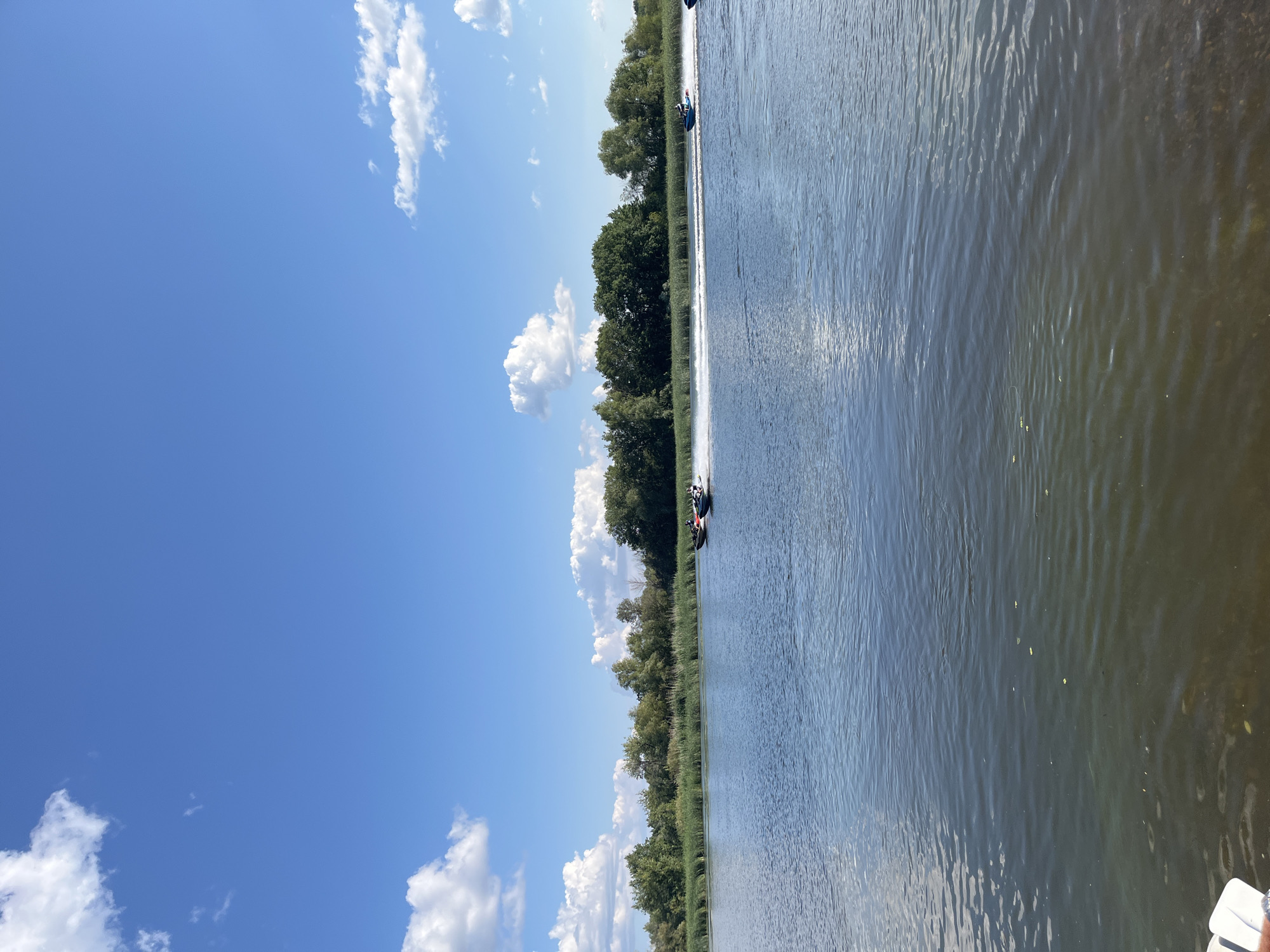 On a clear, sunny day with scattered white clouds, a wide river flows towards the viewer. The water is calm with a slight ripple. Along the far bank, a dense line of lush green trees and tall reeds forms the horizon. Several jet skis are actively moving across the water, leaving trails of white spray. One jet ski, with two people on board, is closer to the left of the frame, while another, also with two riders, is further to the right. In the far distance, the shoreline appears to extend further, suggesting a broad river or lake. The overall scene depicts a recreational activity on a natural body of water. The location is the Volga River in Saratov, Russia.