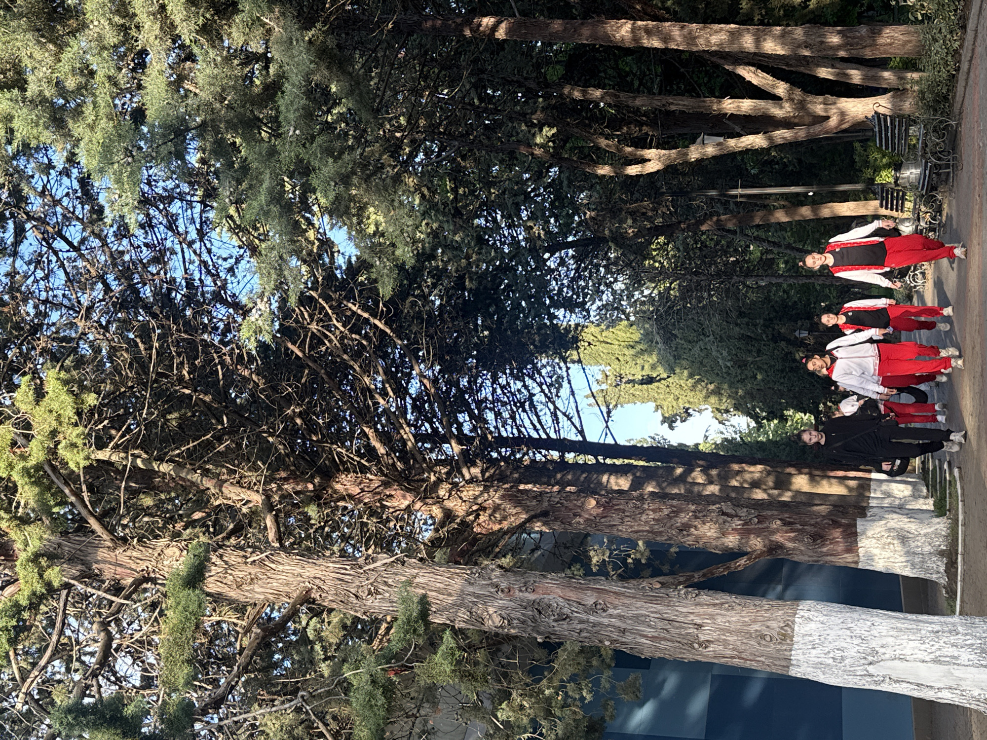 The image shows four individuals, presumably women, walking along a tree-lined path in an outdoor location. The trees are mature and have been partially painted white at the base. The individuals are dressed in matching red and white tracksuits. The environment appears to be a park or public garden. A bench can be seen in the background.