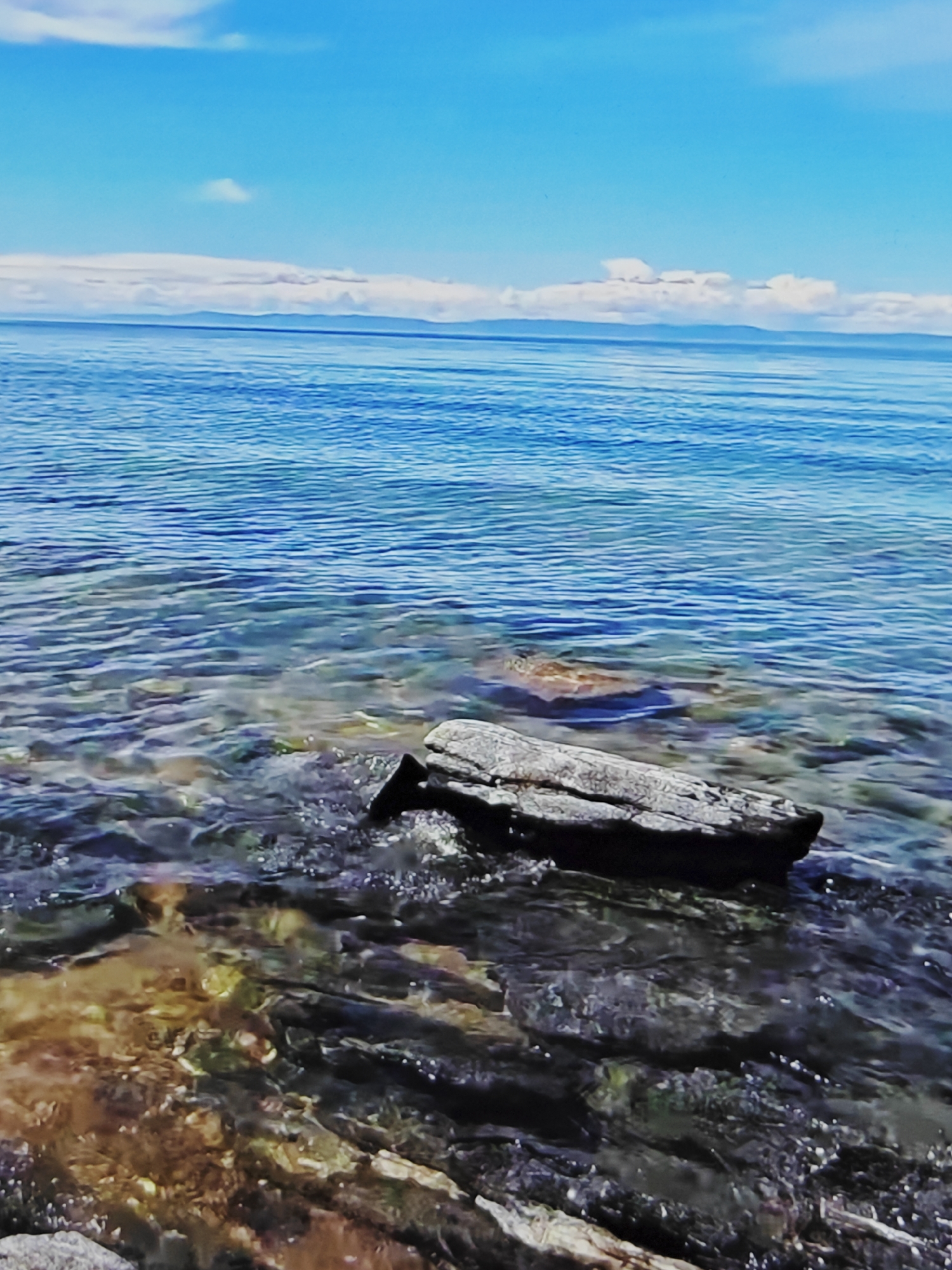 A horizontal shot captures a tranquil body of water, possibly a lake or ocean, meeting a rocky shore under a bright blue sky dotted with scattered clouds. In the foreground, a weathered piece of driftwood rests partially submerged in the shallow water, its textured surface clearly visible. The water itself is clear, revealing the colorful pebbles and stones on the seabed beneath. Further out, the water transitions to a deeper blue, with gentle ripples breaking the surface. In the distance, a hazy mountain range is visible on the horizon, silhouetted against the sky. The scene evokes a sense of natural serenity and isolation.