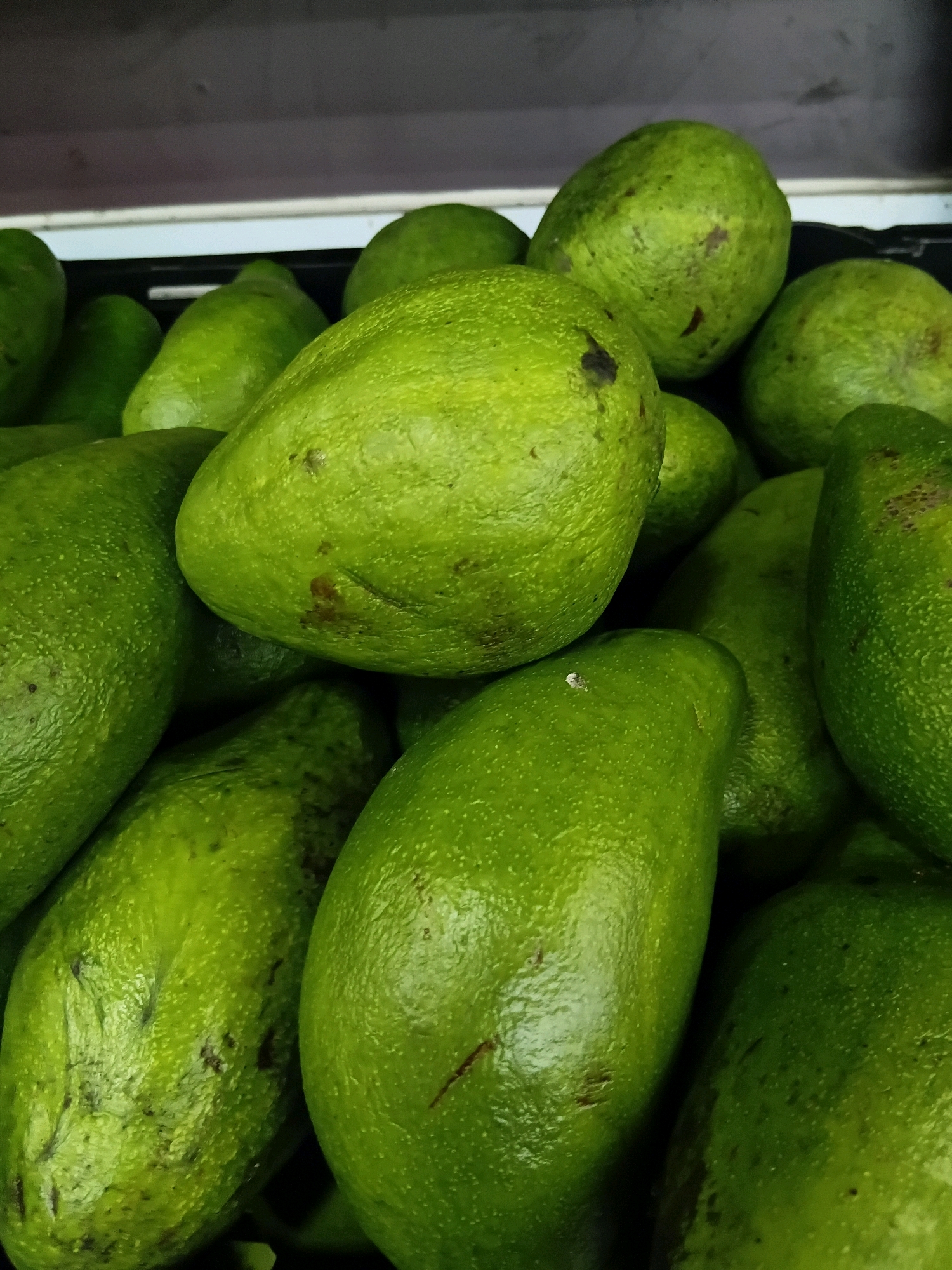 The image shows a close-up, overhead view of a pile of ripe avocados in a black plastic crate. The avocados are a vibrant green color with some darker blemishes and specks on their textured skin. The lighting is bright, highlighting the round and oblong shapes of the fruit. The background is a dark, muted color, suggesting an indoor setting such as a market stall or grocery store display. The image does not contain any elements that would indicate its specific location in Batam, Indonesia.
