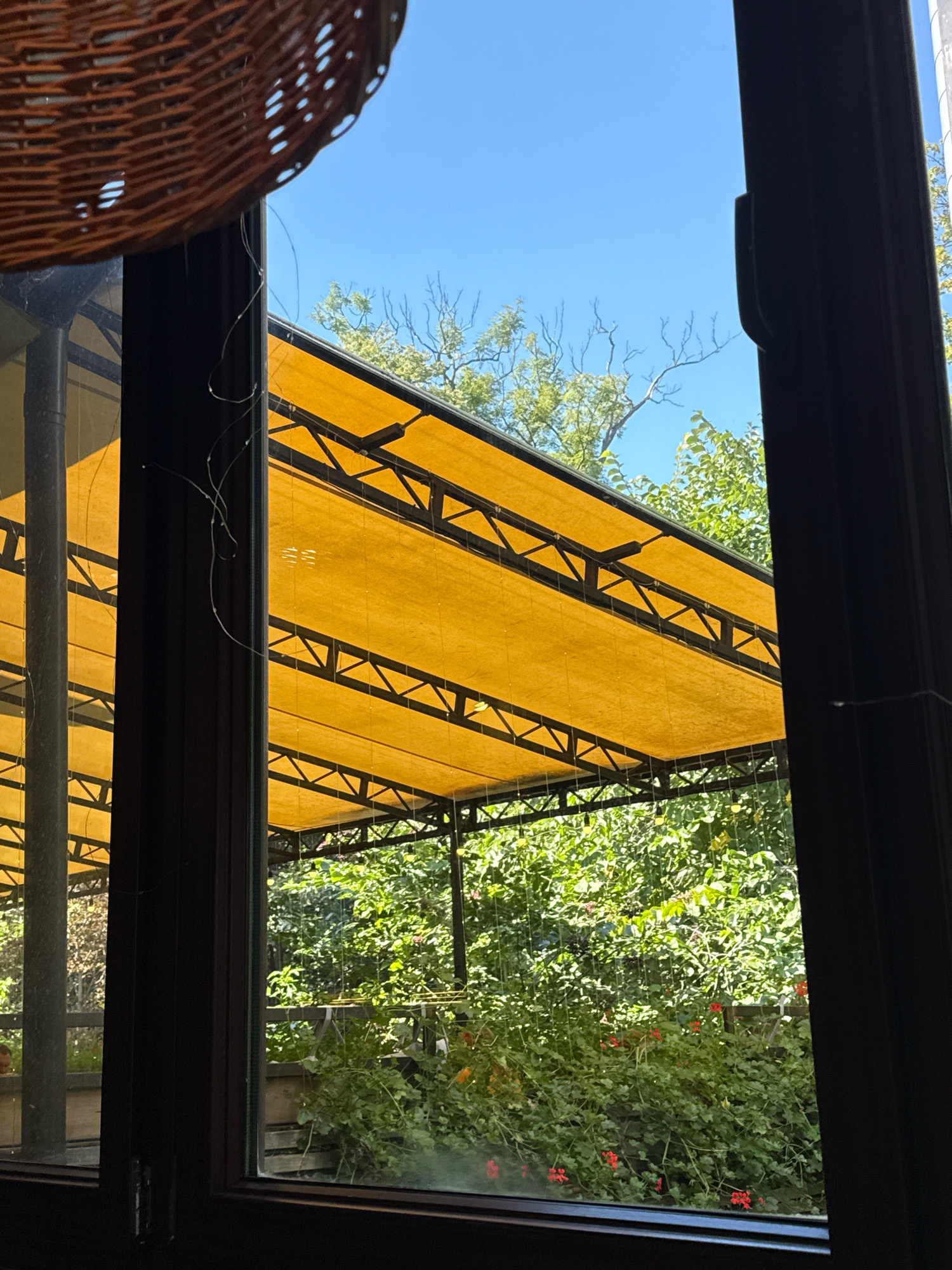 An outdoor scene is captured through a dark-framed window. In the foreground, a portion of a brown wicker lampshade is visible at the top left. The view beyond the window is dominated by a yellow awning supported by a black metal frame. Beneath the awning, lush green foliage and red flowers suggest a garden or patio area. The sky is a clear, bright blue. The overall impression is of a sunny day, possibly at a cafe or restaurant with outdoor seating. This image was taken in Kaliningrad, Russia.