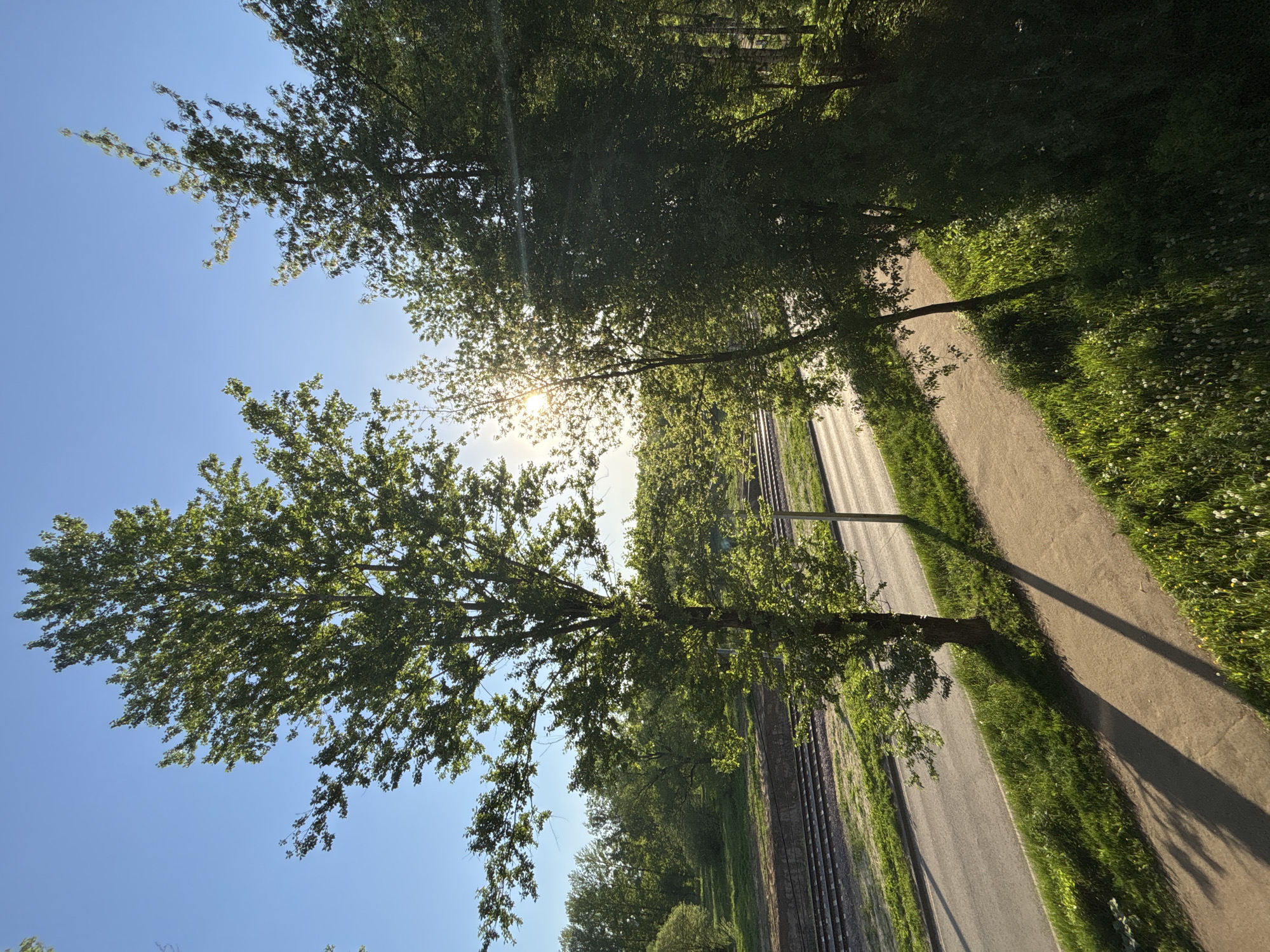 The image shows a sunny outdoor scene in Rusanovo, Russia. The perspective is angled upwards toward the sky, with trees framing the view. A road runs parallel to train tracks. A sidewalk runs next to the road. A long shadow cast from a tree stretches across the sidewalk. Sunlight is visible through the tree canopy.