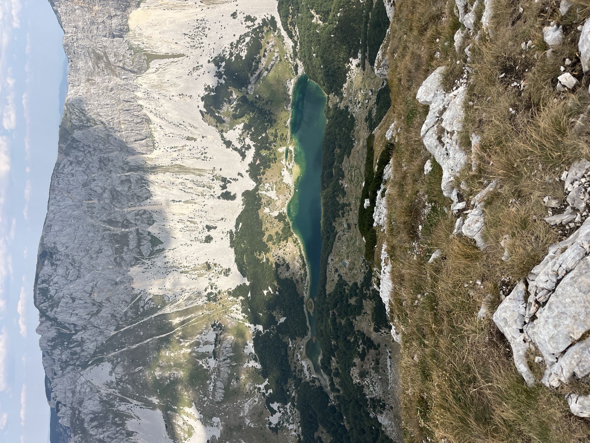 This is a high-angle, full shot of a mountain landscape in Boricje, Montenegro. The image is dominated by a vast, rugged mountain face on the upper portion, rendered in shades of gray and white, with patches of green vegetation and shadows creating a textured appearance. Below the mountain, a serene, turquoise lake is visible, surrounded by dense, dark green forest. The foreground is characterized by rocky terrain with dry, golden grass. The sky above is a pale blue with scattered white clouds. The scene captures a natural, remote environment with no visible people or man-made structures other than a small, distant building near the lake.