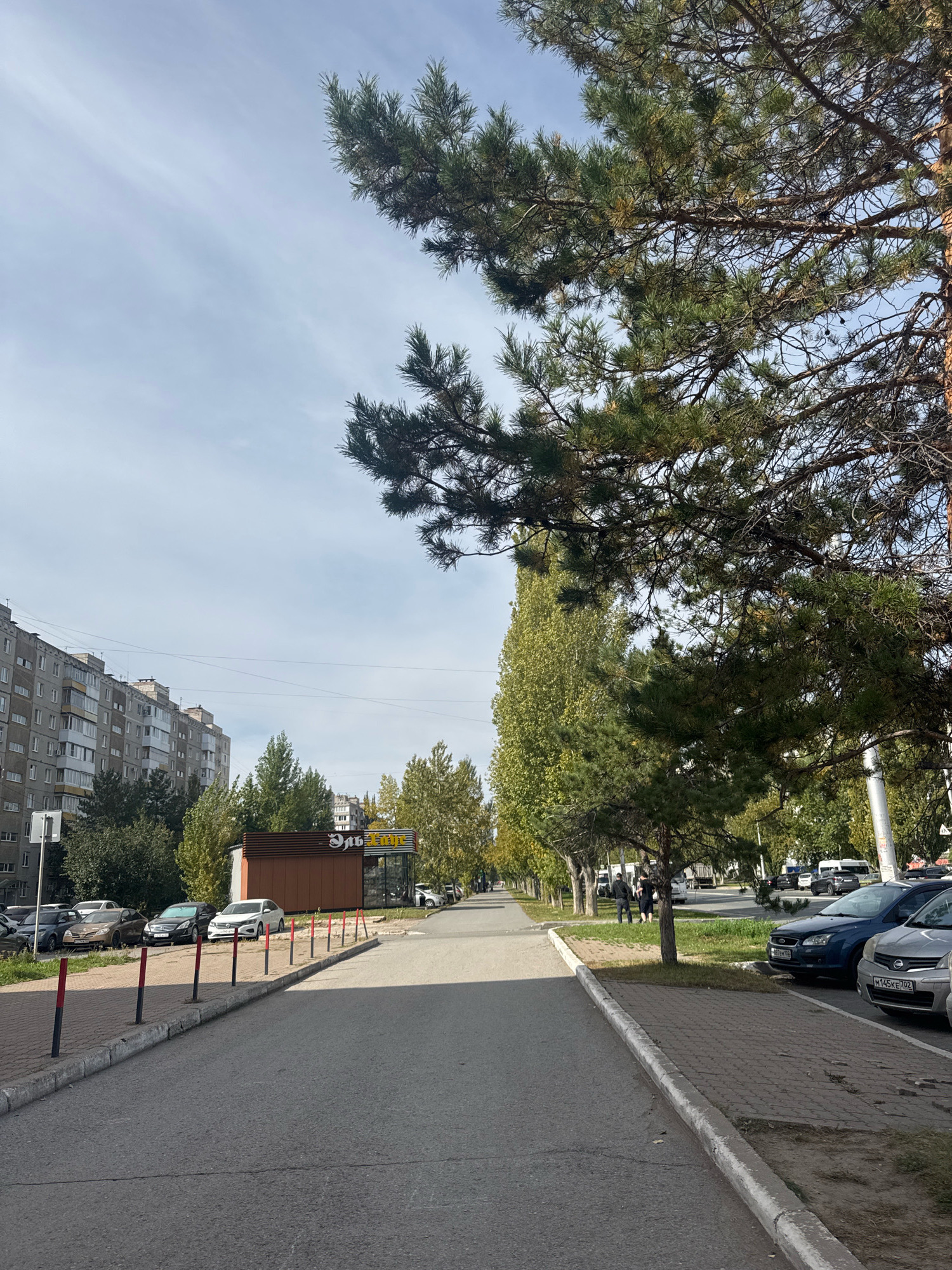 The image depicts a street scene in Ufa, Russia, on a clear day. In the foreground, a paved road runs alongside a sidewalk bordered by red and black bollards. To the left, a row of parked cars is visible, followed by a modern, multi-story apartment building. A small, brown kiosk with yellow lettering, possibly a cafe or shop, stands adjacent to the parking area.
The mid-ground features a tree-lined avenue with deciduous trees displaying autumn foliage. Several cars are parked along the right side of the road, including a blue Ford Focus and a silver car. Two individuals are walking on the sidewalk in the distance.
The background reveals more apartment buildings and a dense growth of trees. A large pine tree with prominent branches extends into the upper right corner of the frame, casting shadows and framing the sky. The sky is mostly clear with some wispy clouds. The overall scene suggests a typical urban environment during the daytime.