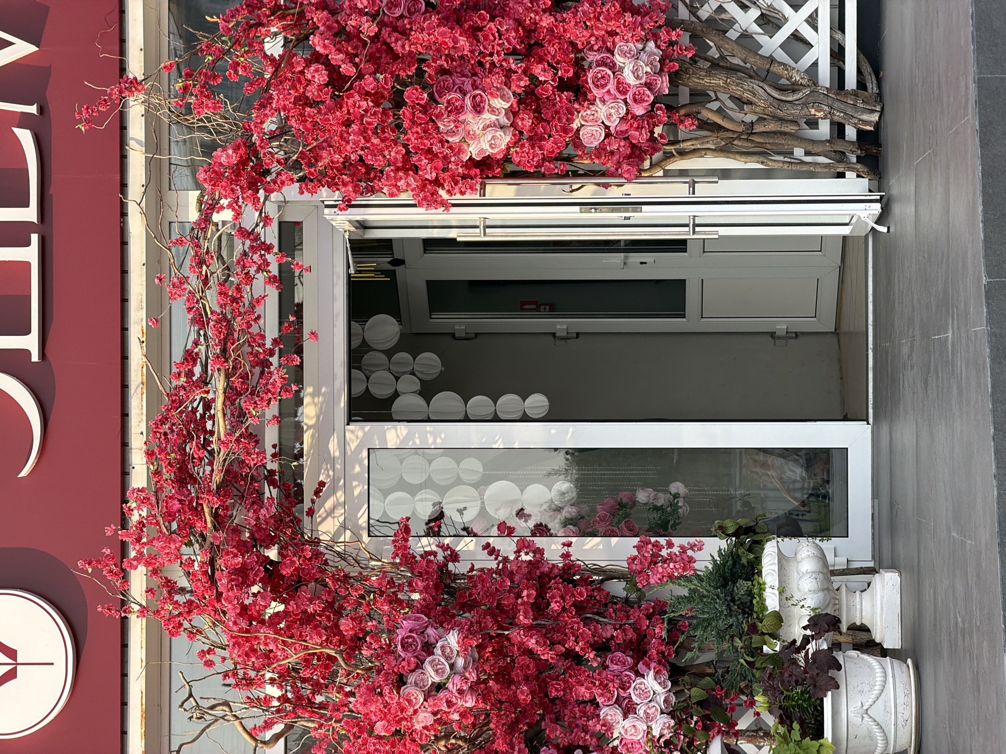 This is a vertically oriented, eye-level, exterior shot of a building facade decorated with a profusion of artificial pink and red flowers, interspersed with branches and a white lattice structure. The flowers cascade over a white-framed storefront window. Behind the window, a display of what appears to be more floral arrangements and possibly decorative paper lanterns can be seen. The building's exterior wall to the left is a deep red, featuring white lettering that reads "VEL" in large, stylized script. To the far left, a white circular logo with a red symbol inside is visible. The right side of the frame shows a grey textured wall. Several white decorative urns and greenery are positioned near the base of the storefront, adding to the decorative arrangement. The sunlight casts shadows, suggesting it is daytime, possibly late afternoon or early morning. The scene appears to be a storefront display, likely designed to be visually appealing and inviting. There are no people visible in the image.