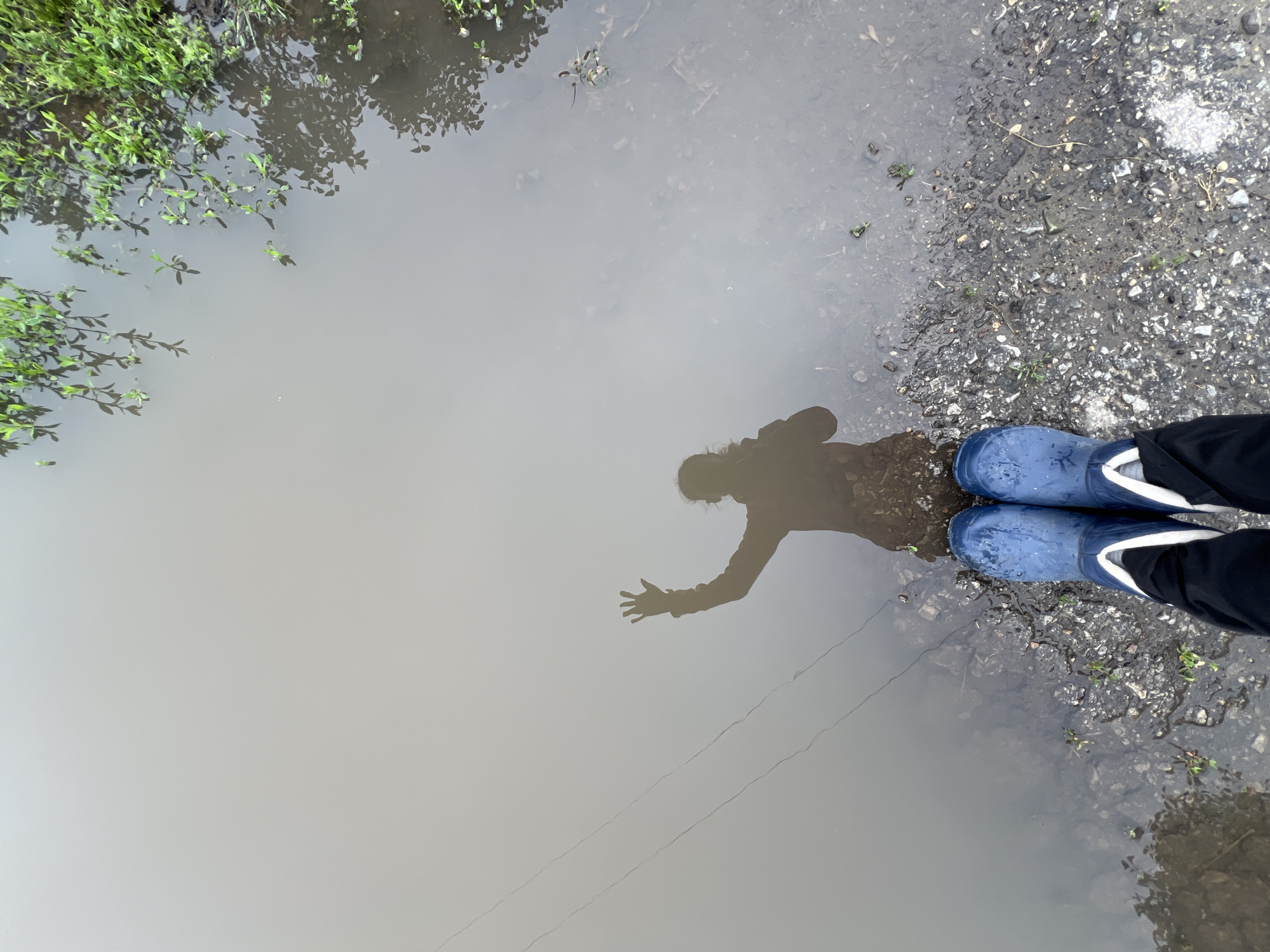 The image depicts a person wearing blue rubber boots and dark pants standing at the edge of a shallow, muddy puddle. Their reflection is visible in the water, showing them wearing a dark jacket and raising their right hand as if waving. The environment appears to be outdoors, with a rocky and gravelly shoreline bordering the water. Green vegetation is visible on the right side of the frame, some of which is reflected in the puddle. There is a thin, dark line, possibly a wire or string, stretching across the water in the background. The overall scene is overcast, suggesting a cloudy or rainy day. The location is identified as Pivkino, Russia.