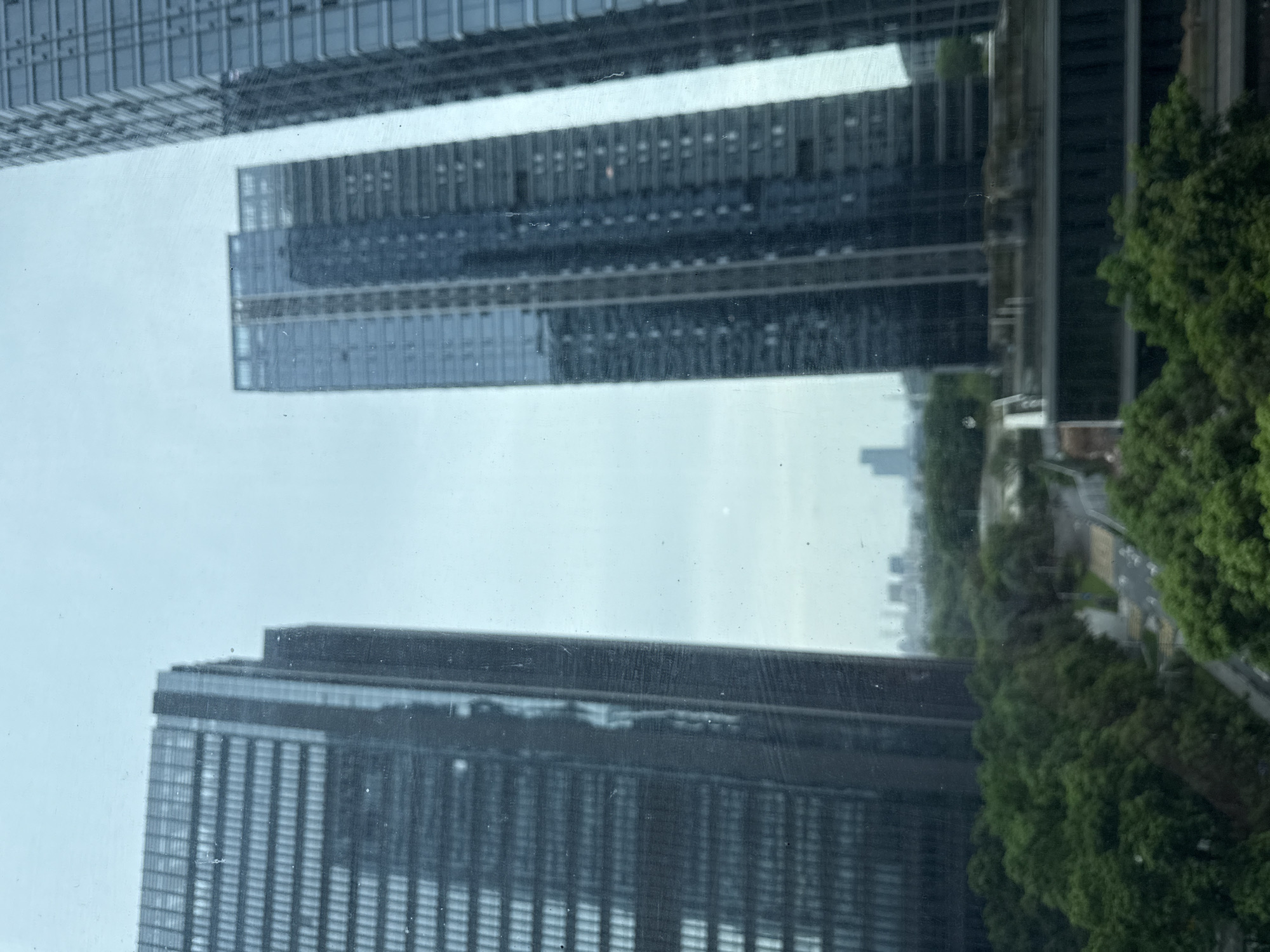 The image shows a view of a city skyline from a window, likely in Haizhu District, China, on an overcast day. In the foreground, several modern, glass-facaded skyscrapers dominate the frame. The building on the left is tall and dark, with a repeating pattern of windows. To its right, a cluster of slightly shorter but equally modern buildings rises, also featuring extensive glass exteriors. The buildings appear to be residential or office complexes.
Below the skyscrapers, a dense canopy of lush green trees stretches across the midground, obscuring much of what lies beneath. A paved road or pathway is visible winding through the trees, with some yellow-striped crosswalks. In the distance, a hazy skyline of more buildings can be seen, indicating a broader urban landscape. The overall atmosphere is muted due to the cloudy sky. There are no people or discernible activity visible in the image. The window through which the photograph is taken shows some dust and streaks.