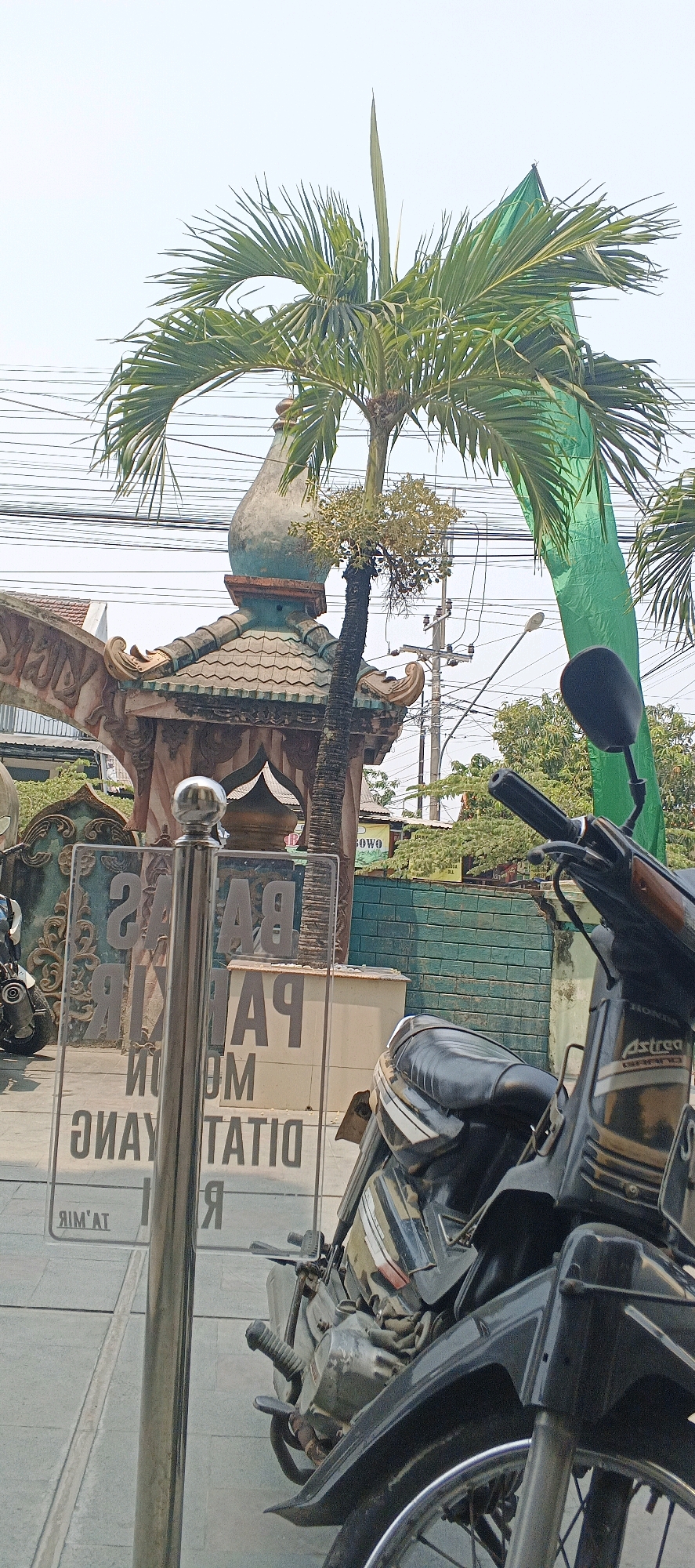 The image is a vertical, eye-level shot of a street scene in Sumberwudi, Indonesia, on a bright day with a cloudy sky. In the foreground, the front portion of a black motorcycle is visible, with its handlebars, mirrors, and part of the engine showing. The motorcycle is parked on a paved walkway.
To the left of the motorcycle, a reflective glass partition stands vertically, supported by a metal pole. The glass reflects text that appears to be a sign, with the words "PARKING" and "YANG DITATIO" partially visible and reversed due to the reflection.
Behind the glass, a palm tree with fronds reaching upwards is prominent. It leans slightly to the right, in front of an ornamental structure with a tiled roof and a domed top, painted in shades of blue and brown. Further behind this structure, a green banner or fabric is draped vertically, and power lines crisscross the upper portion of the image against the pale sky.
In the middle ground, there are green tiled walls and trees. A sign with "SOWO" is visible on the far right. The overall impression is of an outdoor urban environment, possibly a commercial area or public space, with elements of local architecture and everyday street life. There are no people clearly visible in the image.