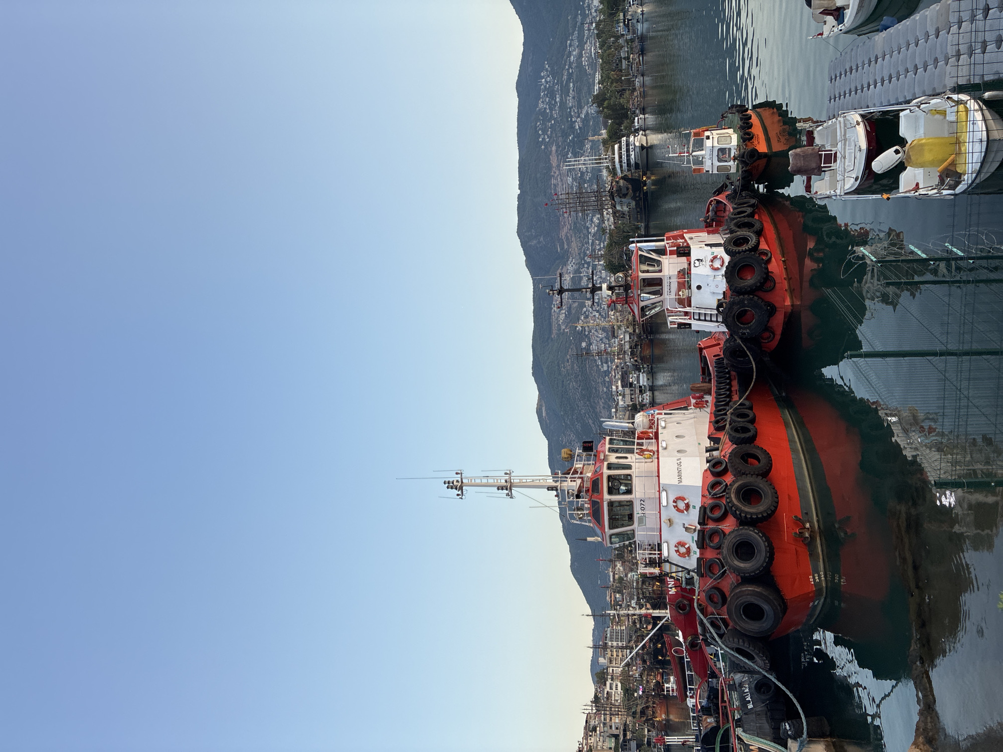 The image captures a serene view of the Alanya harbor in Turkey. In the foreground, two vibrant red tugboats, prominently labeled "MARINTUG II" and with registration number "072" visible, are docked. One tugboat has a row of black tires along its side, acting as fenders. Beside them, a smaller orange and white tugboat is also moored. In the mid-ground, various other boats and ships, including what appear to be large sailing vessels, are docked or anchored. The background features the picturesque Alanya cityscape, with buildings cascading down the hillsides towards the harbor, all set against a backdrop of lush green mountains under a clear, pale blue sky. The water is calm, reflecting the boats and the surrounding scenery.