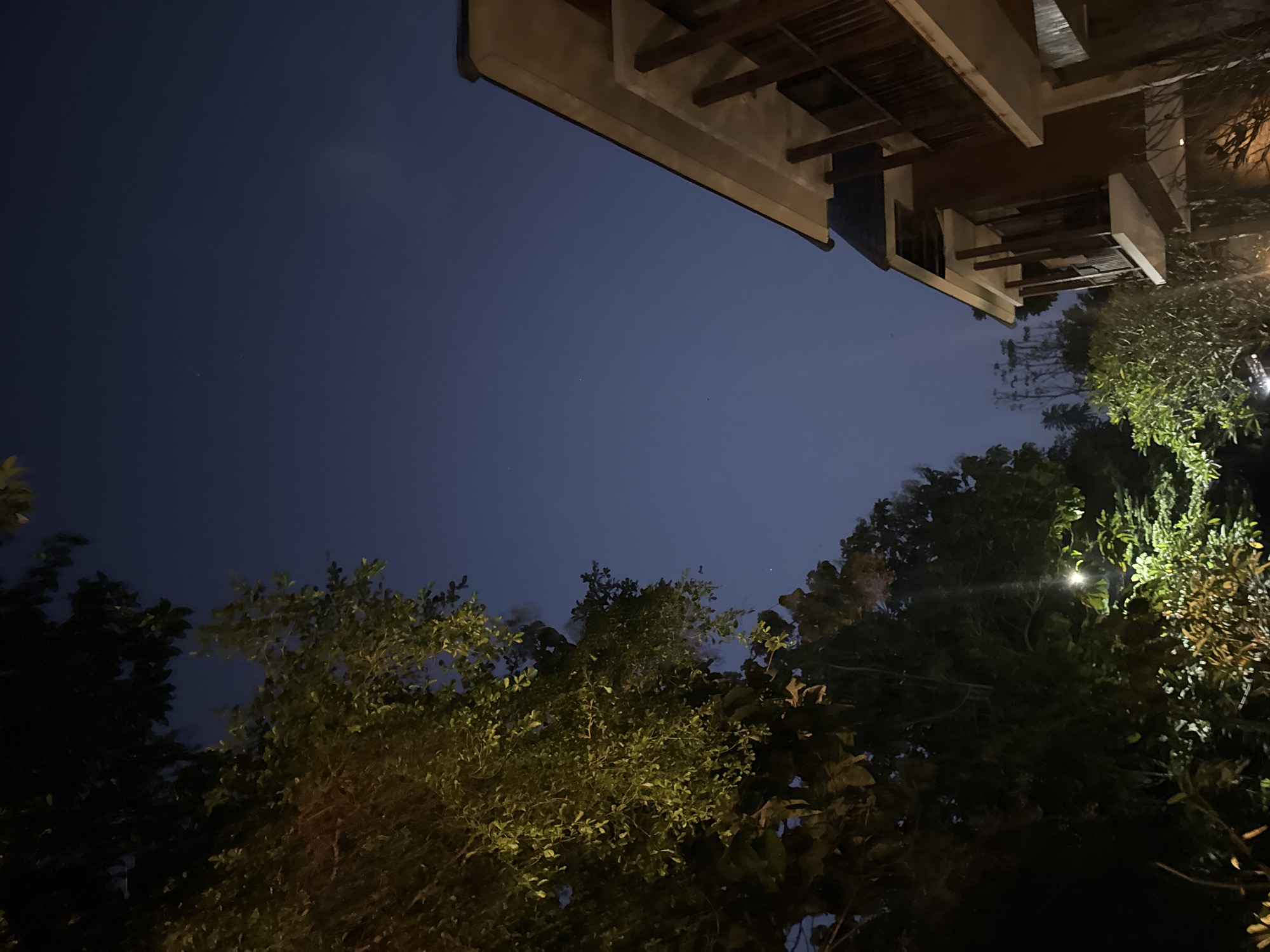 Captured from a low angle, the image presents a night scene in Kuta Selatan, Indonesia. The dark blue sky serves as the backdrop, with the upper portion of a building visible in the top right corner. The architecture features wooden beams and a partially covered terrace or balcony. Dense foliage of trees and bushes flanks the lower half of the frame, illuminated by an unseen light source, casting shadows and highlights upon the leaves. No people or animals are observed in the image.