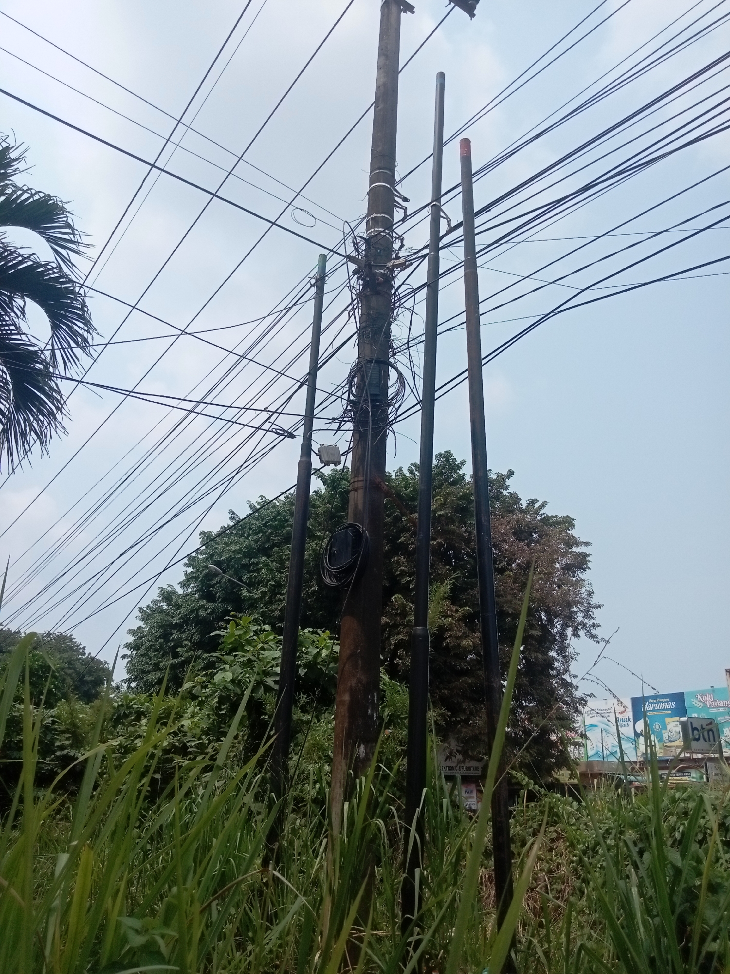 The image shows a close-up view of a weathered wooden utility pole heavily laden with a dense network of black electrical wires and cables. The pole stands amidst lush green vegetation, including tall grasses in the foreground and trees further back. Three other poles, two appearing darker and thinner, and one lighter pole, are situated near the main pole, also supporting wires. The sky above is overcast and pale blue. In the background, a billboard advertising "Rarumas" and "Koki Padang" can be partially seen, suggesting an urban or suburban setting. A small white electrical box is attached to the main pole. The scene is consistent with an outdoor environment in Batam, Indonesia, likely along a street or roadside with overgrown greenery.