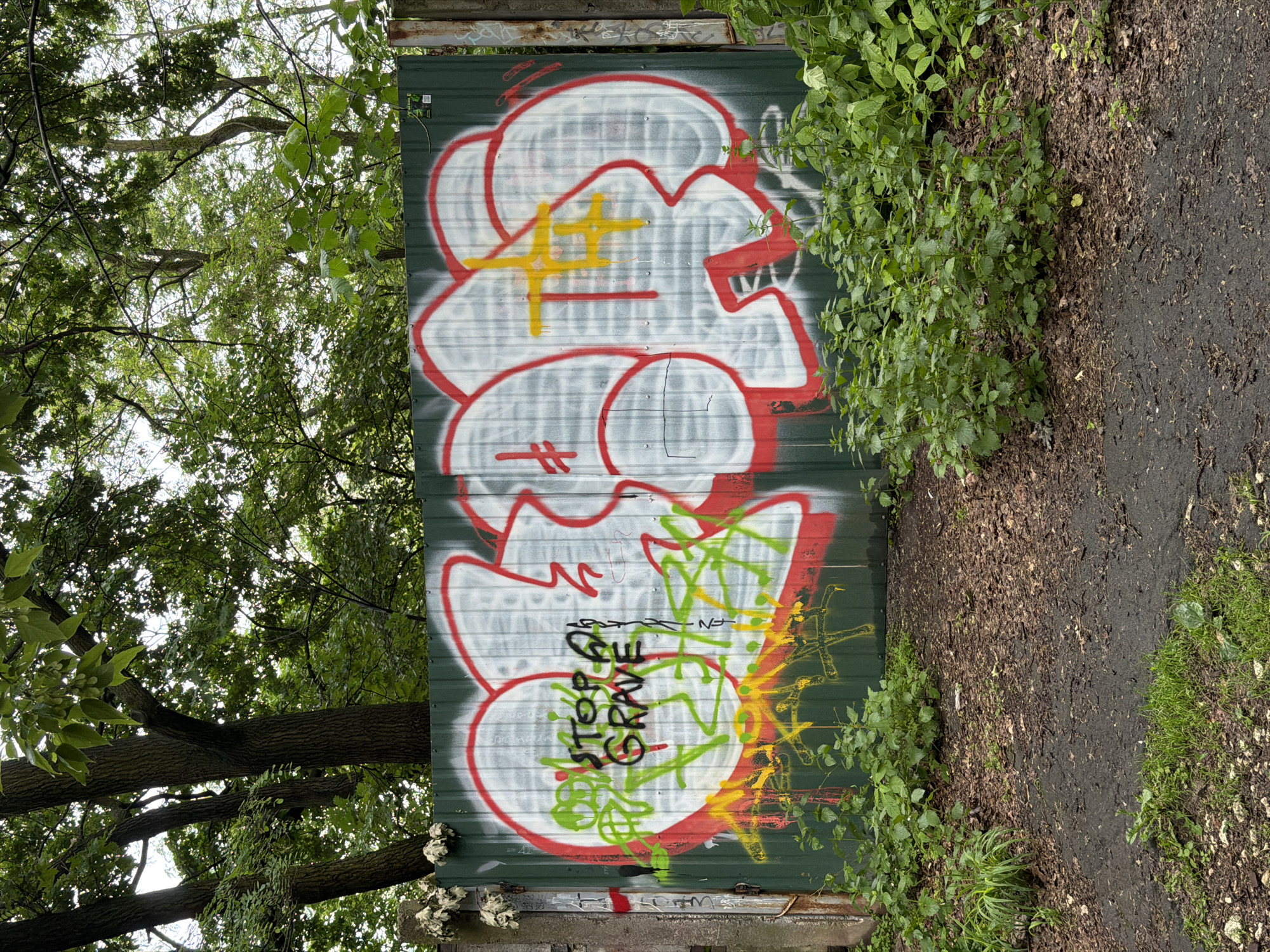 In Kyiv, Ukraine, on a green corrugated metal fence, graffiti is spray-painted with red outlines and white fill. The graffiti is abstract, with large bubble letters and some smaller tags. One section of the graffiti includes the words "STOP AT GRAVE" in black spray paint, with some green and yellow tagging underneath. The fence is located outdoors, surrounded by trees and vegetation. The ground in front of the fence is covered in dirt, leaves, and some patches of grass.