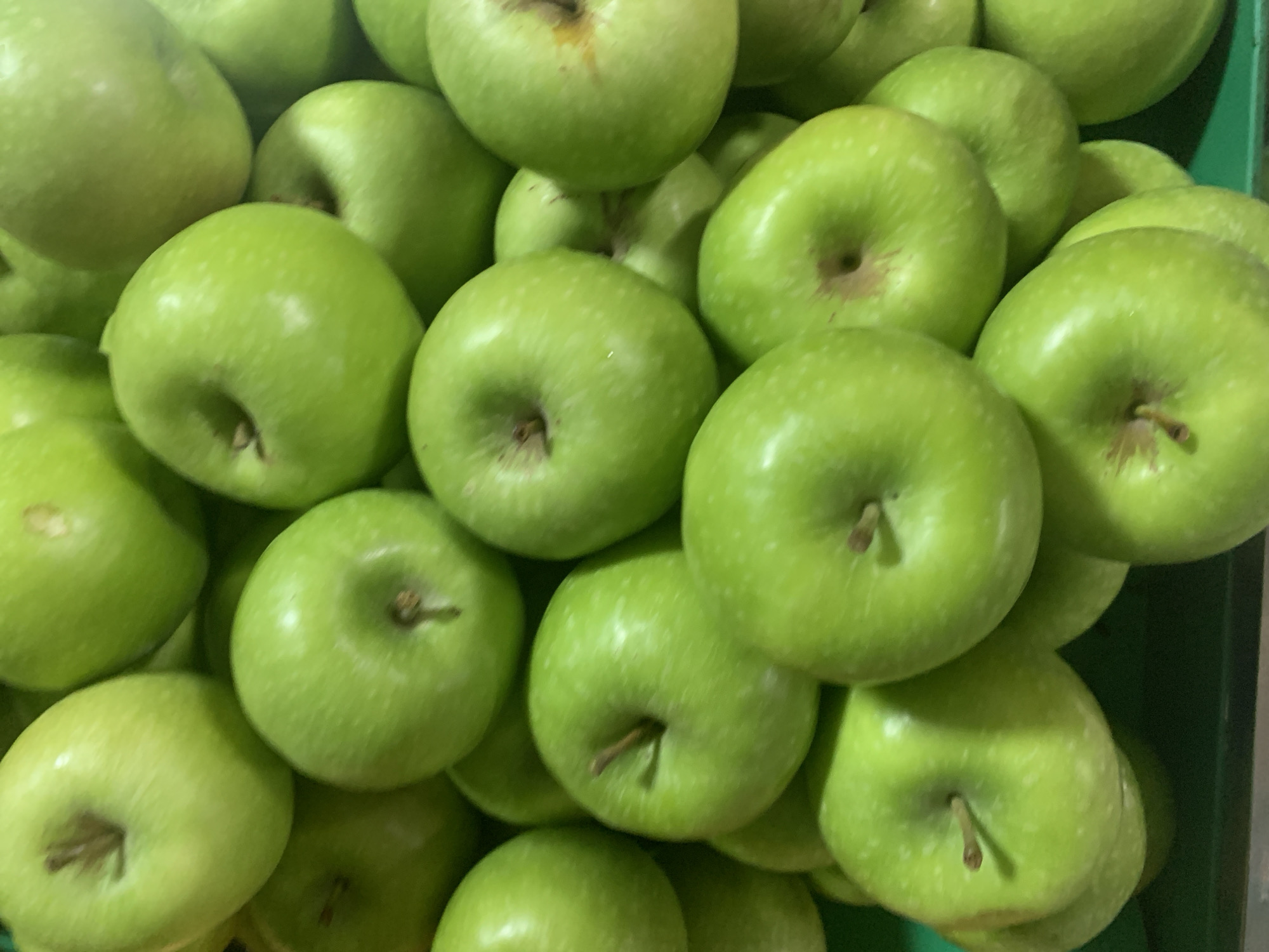 An overhead shot displays a large pile of bright green apples. The apples are the primary focus and fill the frame, with many of them overlapping and creating a textured mound. The lighting suggests an indoor setting, possibly a grocery store or market, with the apples arranged in a display. The background is mostly out of focus, but hints of a green surface, likely a shelf or container, are visible at the bottom. No people or other objects are clearly discernible in the image.
