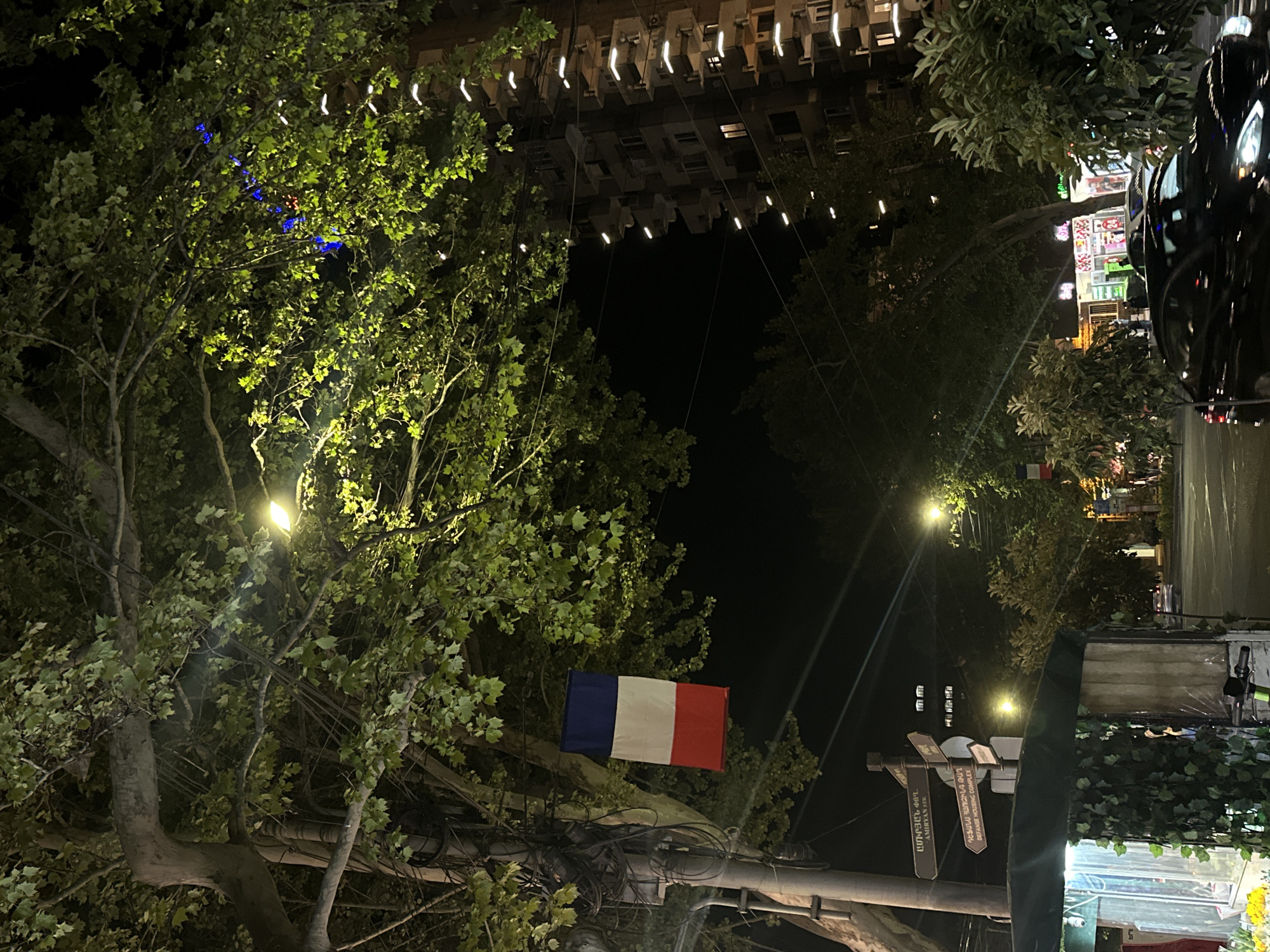 The image shows a nighttime street scene in Yerevan, Armenia. A French flag hangs from a pole obscured by tree branches. Overhead, lights illuminate buildings. Street signs are visible in Armenian and English. The scene includes greenery from trees and foliage. A dark car is parked on the right side of the image.