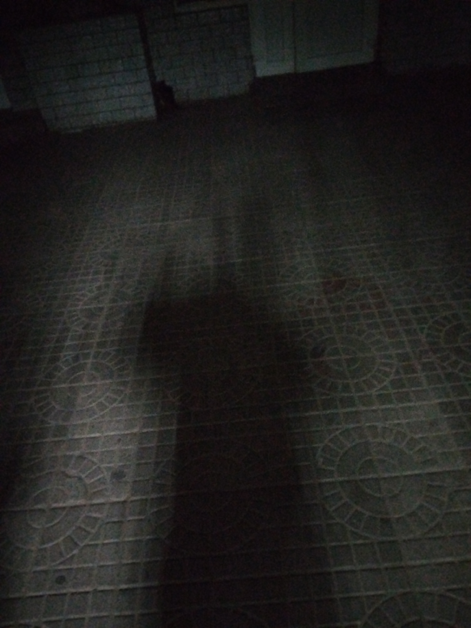 The image depicts a shadow of a person cast on a tiled surface in what appears to be an outdoor, possibly urban, environment. The lighting suggests it is either nighttime or a very dimly lit area. The tiles have a repeating circular pattern. In the background, there are brick-like structures, hinting at a building or wall. The image lacks sufficient detail to definitively identify the location as Chita, Russia, or to provide specific forensic information about the scene.