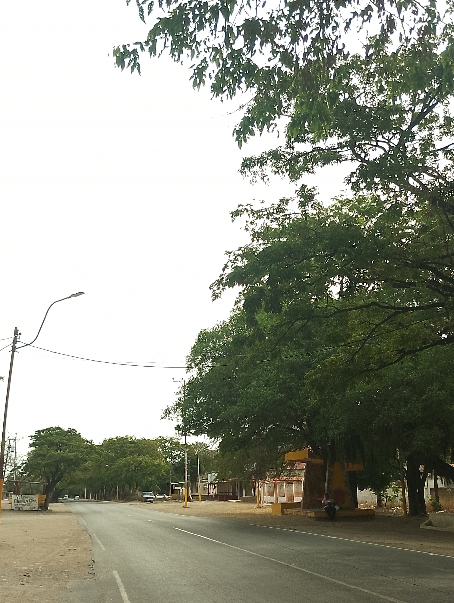 The image depicts a street scene in San Juan Bautista, Venezuela. The asphalt road curves gently and is lined with mature trees on both sides, casting shadows on the pavement. A light pole and electrical wires are visible on the left. A yellow structure, possibly a bus stop or monument, stands on the right with a person seated beneath it. Buildings are visible in the background, as are parked vehicles. The sky is bright and overcast.